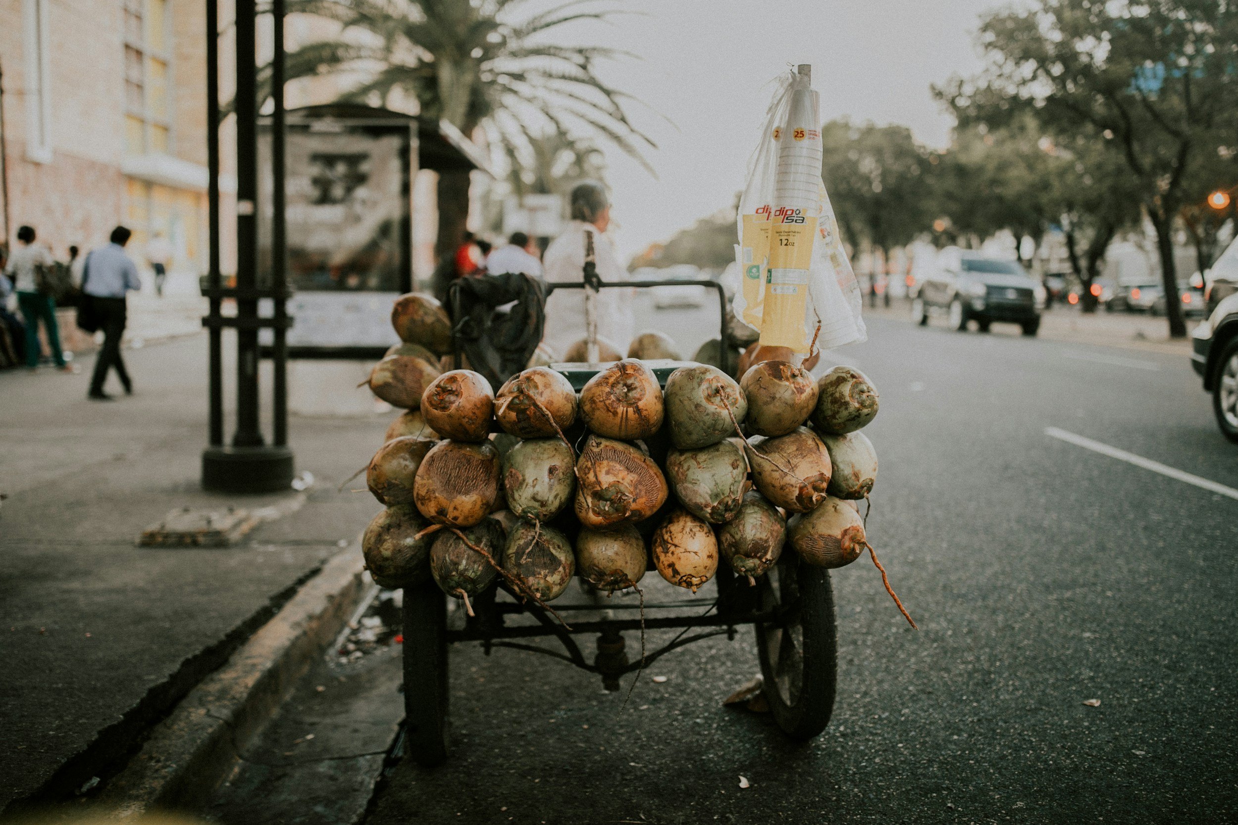 image of a coconut cart full of coconuts in an urban metro