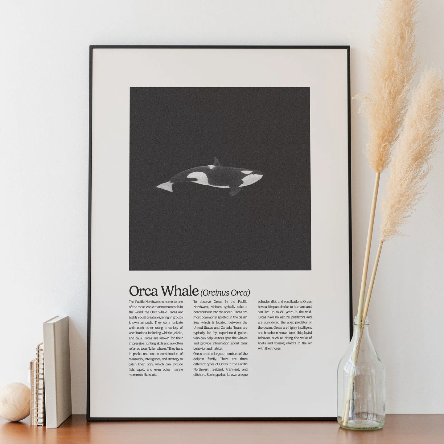 Hood Canal, WA 

Senior Project - Pink House Provisions

@designbymeekah 
_________________________________________

#art #artist #design #designer #etsy #estyshop #orca #hoodcanal #unionwa #pugetsound #clam #map #canal #poster #posterdesign #mockup 