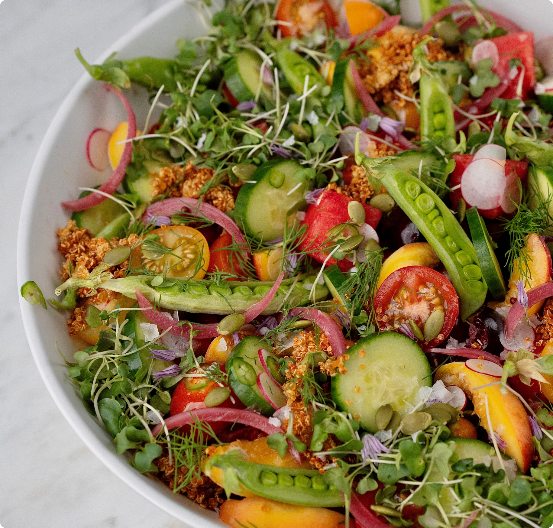 Vegan Meal Prep in Portland, OR