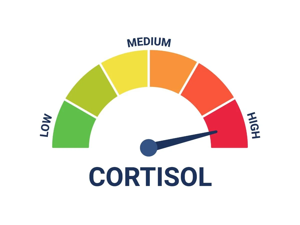 Is Your Cortisol on Overdrive? Here’s How to Tell—and What You Can Do About It