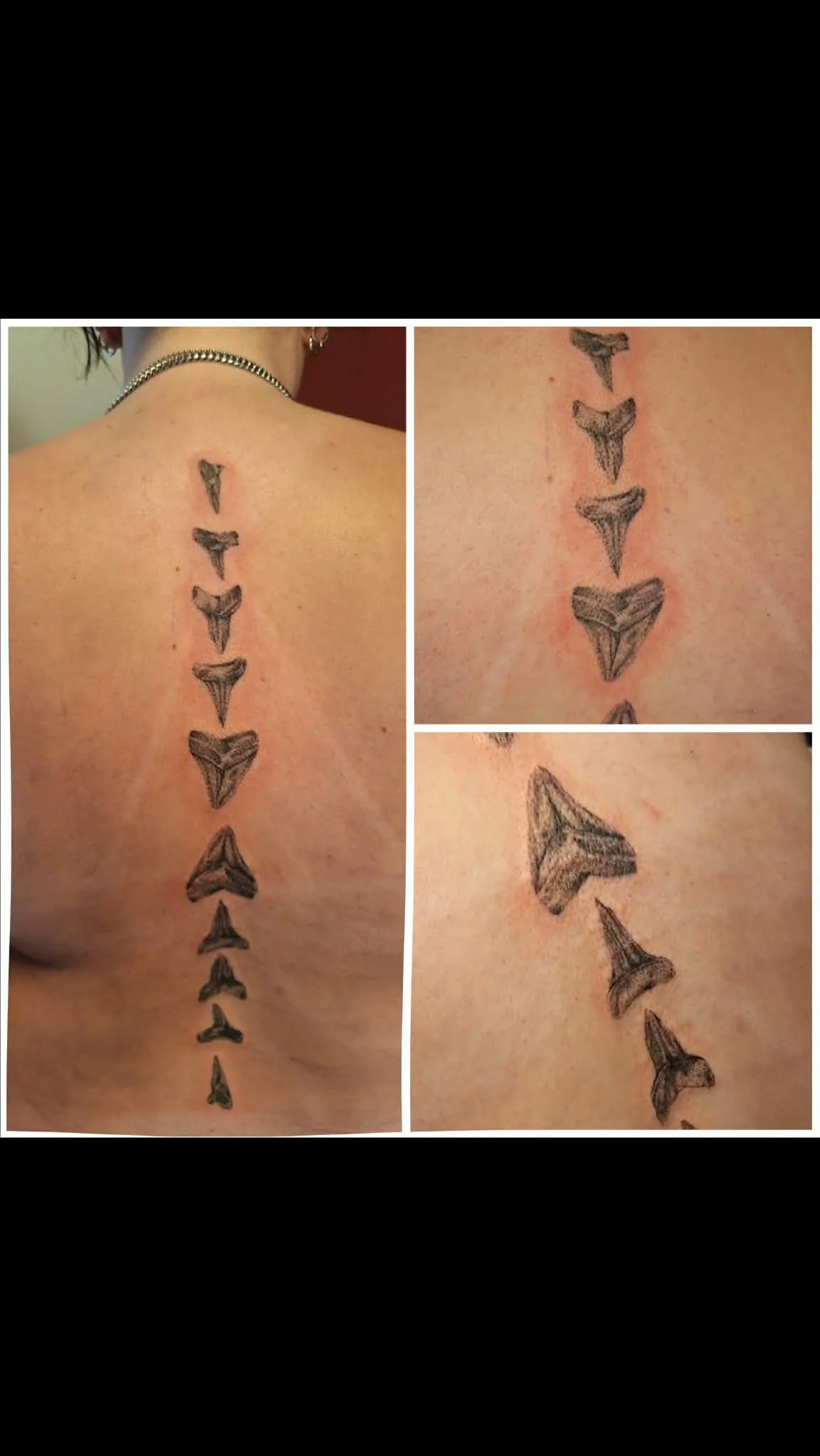 blackwork 5.jpeg