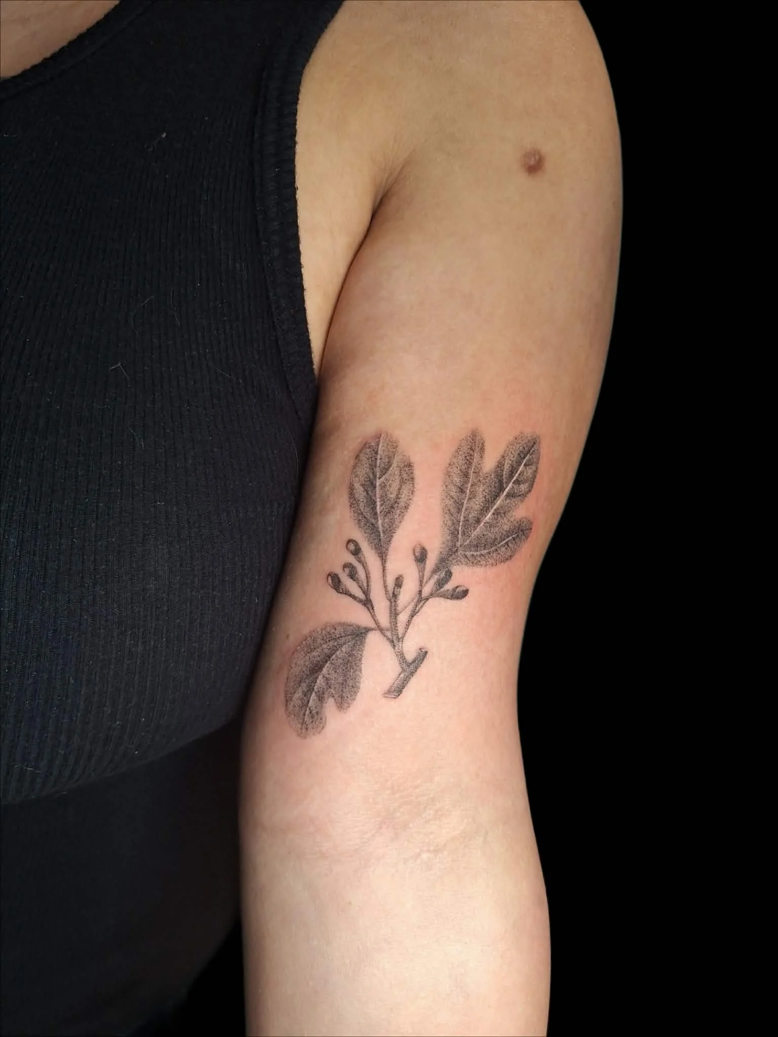 blackwork 6.jpeg
