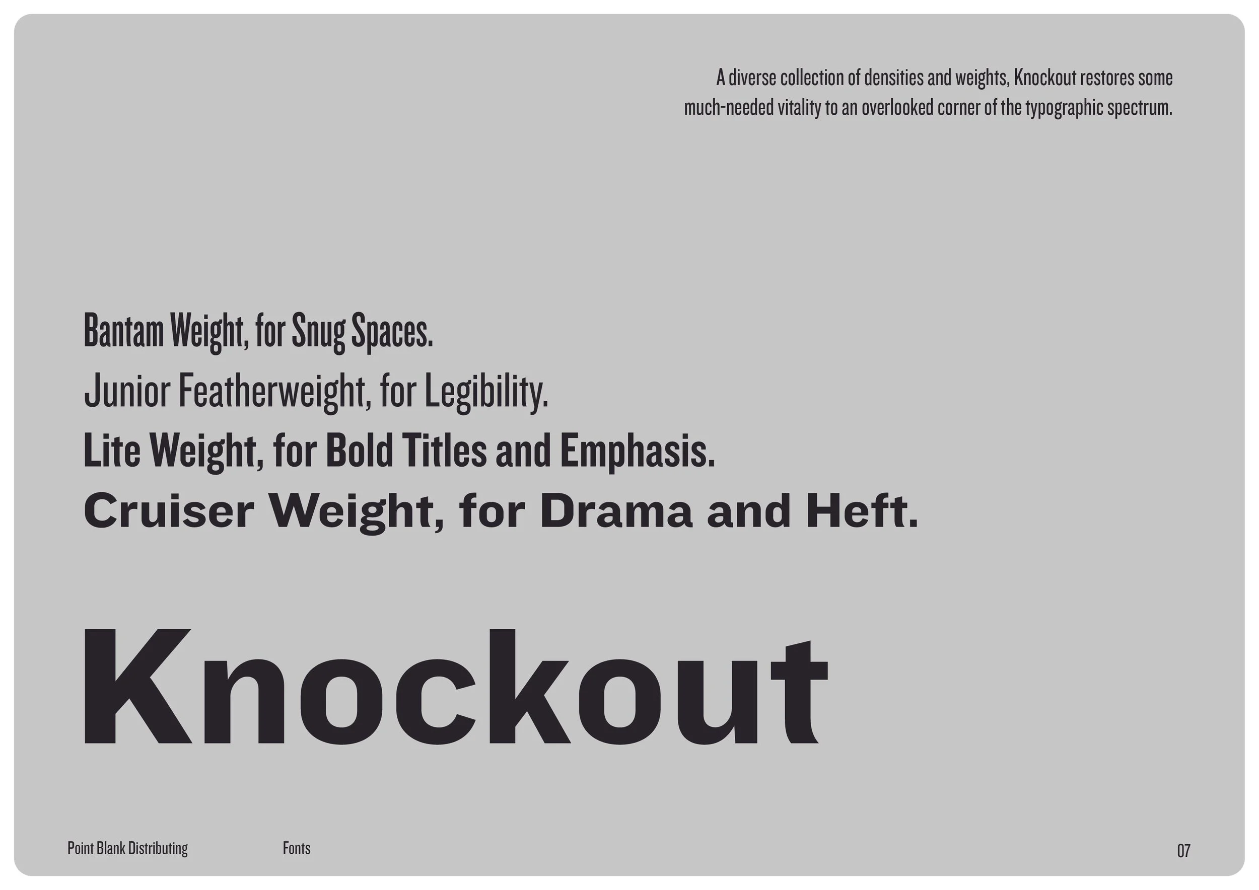 POINTBLANK_BRANDBOOK (1)-07.jpg