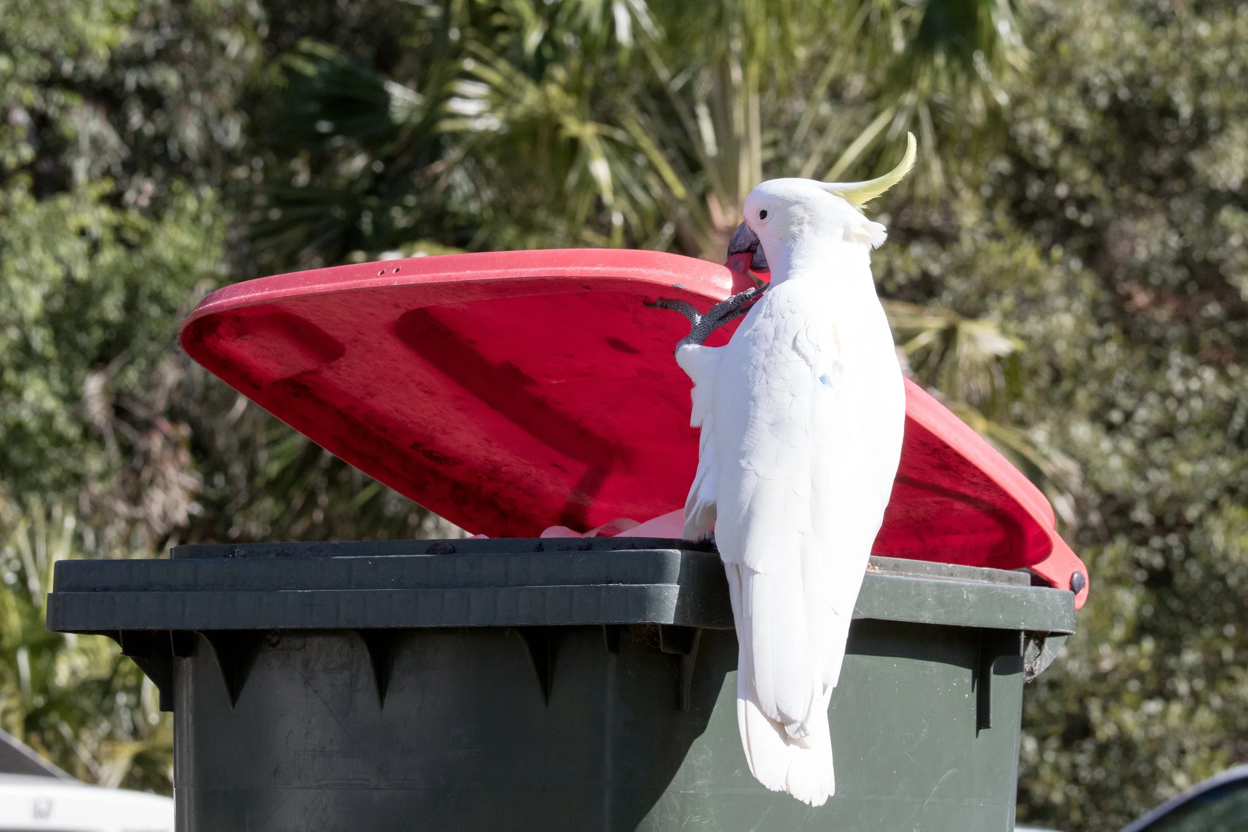 Surf Coast Shire | Discover Waste Management Solutions - Get Started ...