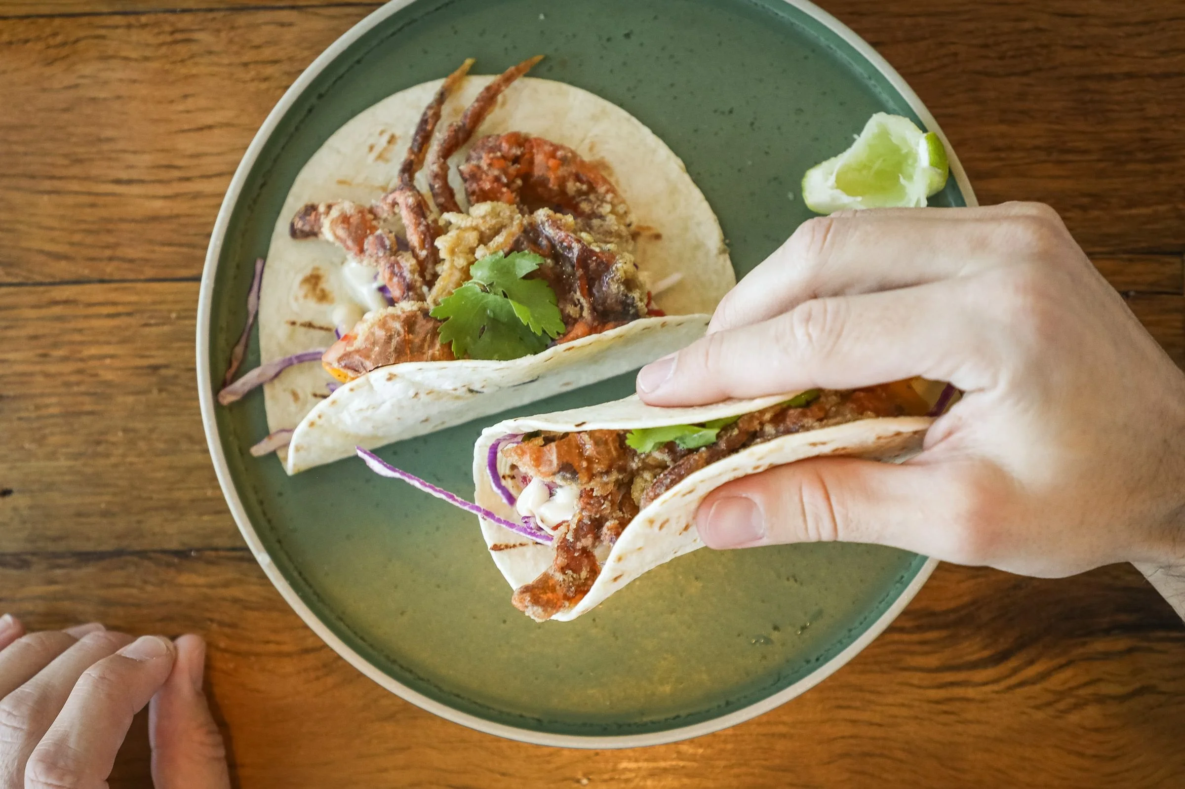 Fresh tacos at Alma Surfers Paradise