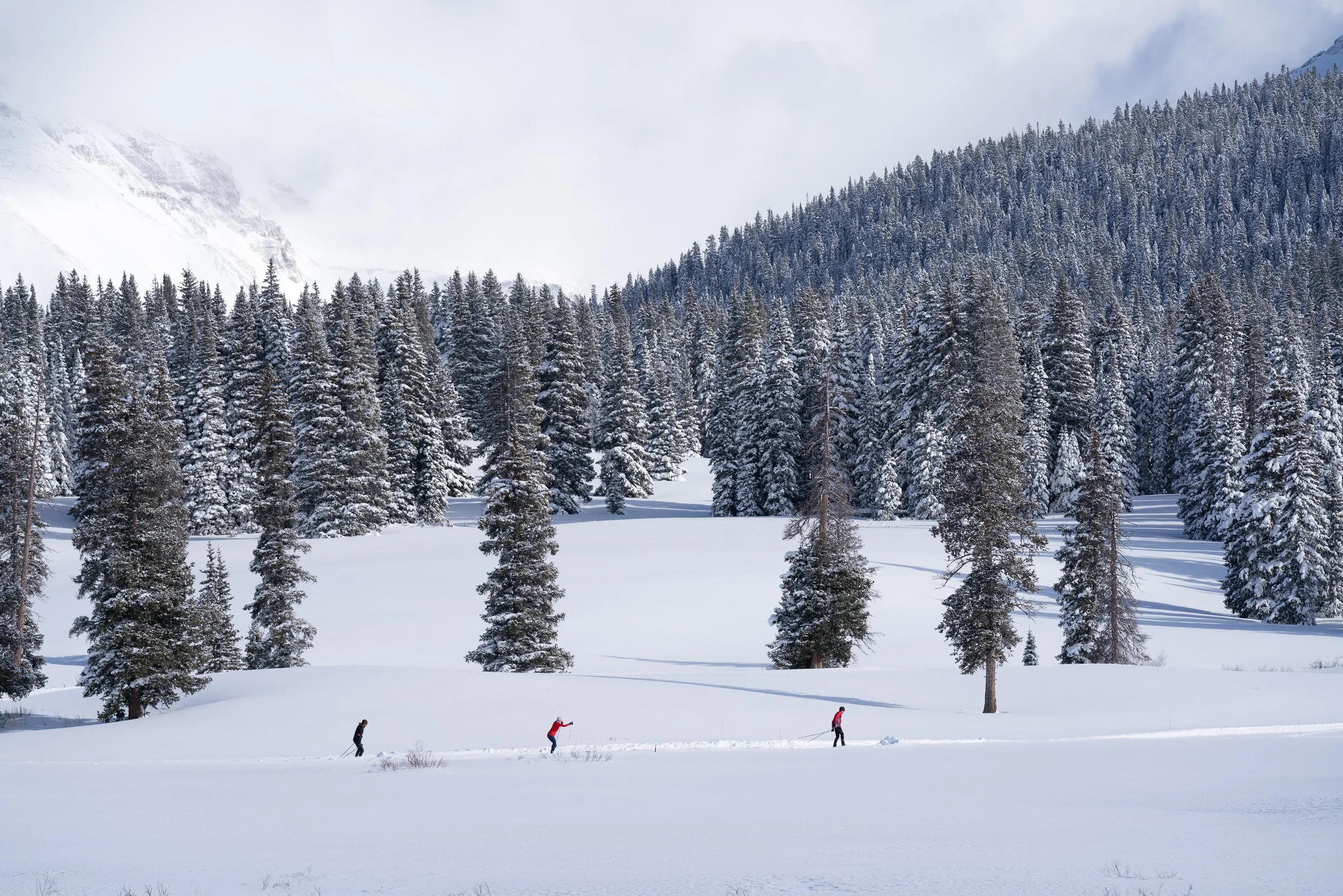 Telluride Nordic Association