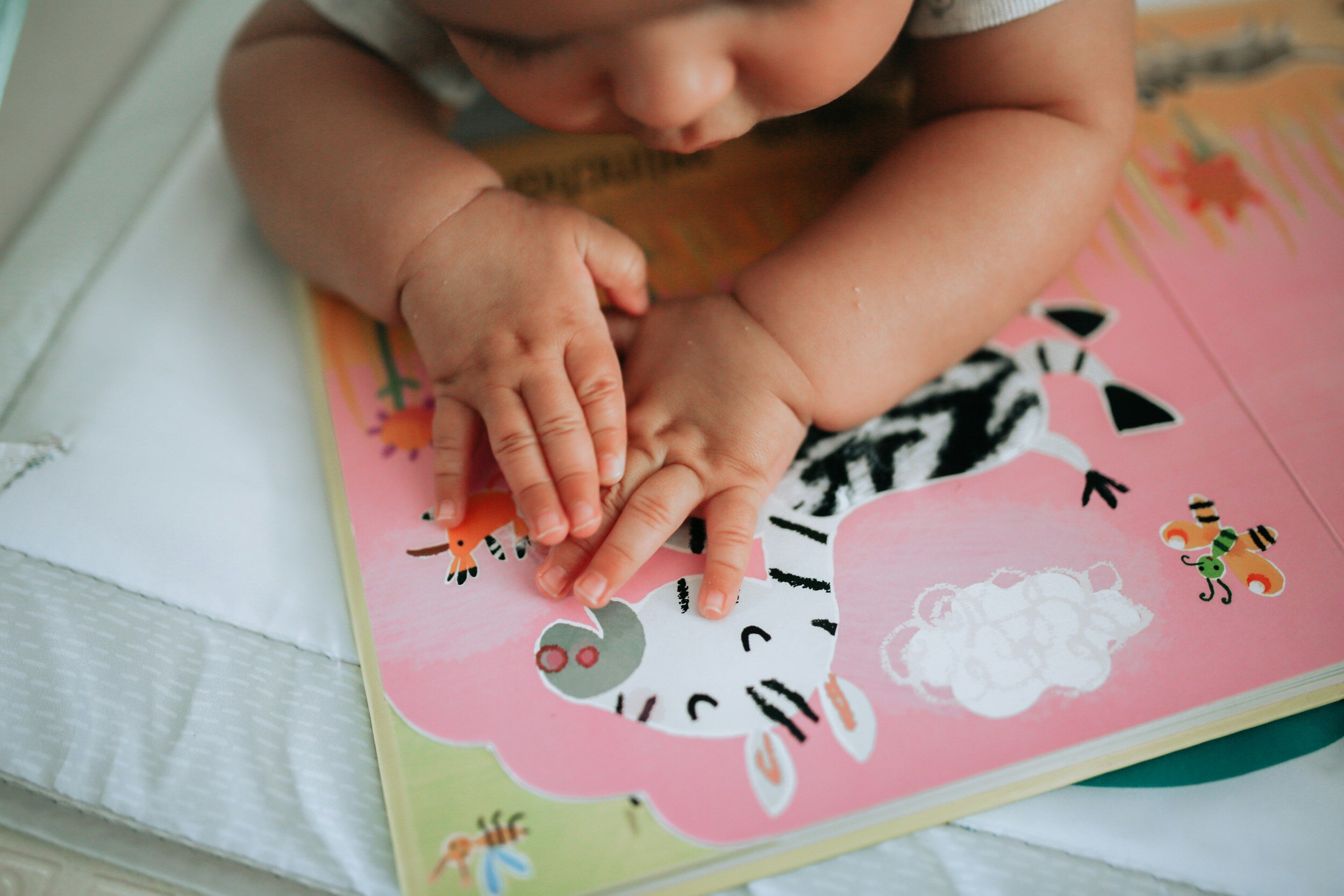 Peek-a-Book
