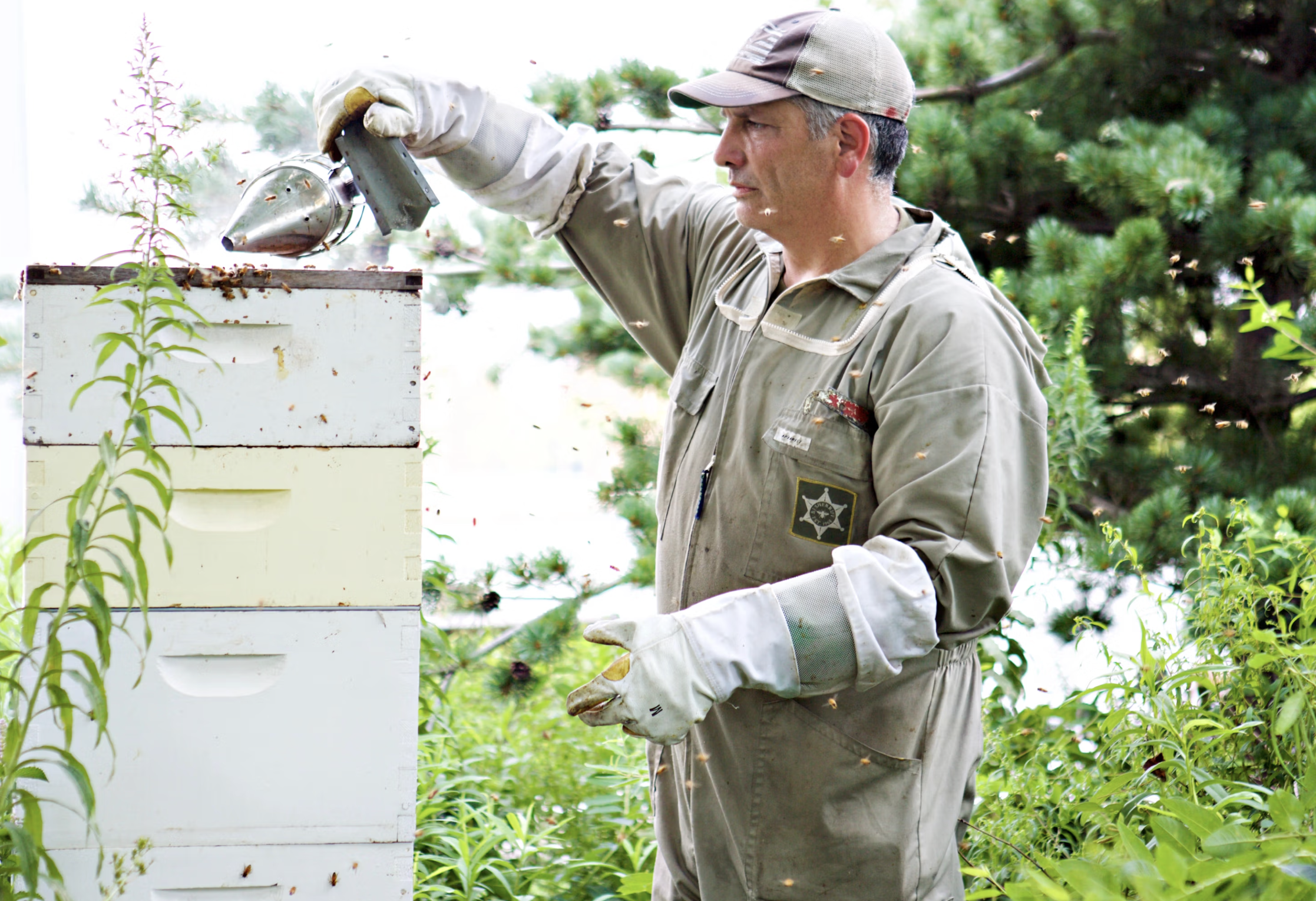 Meet the Beekeeper