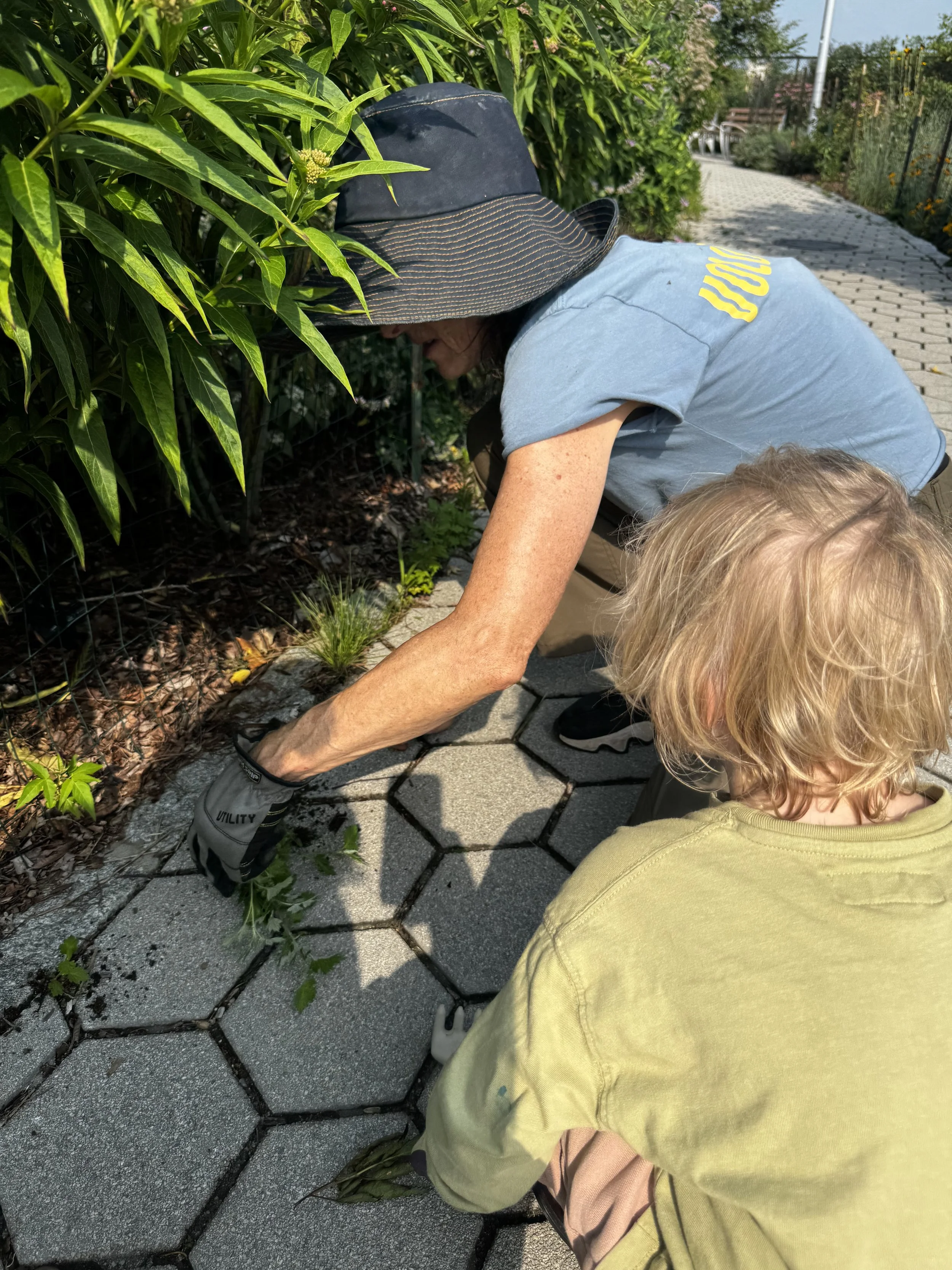 Gardening