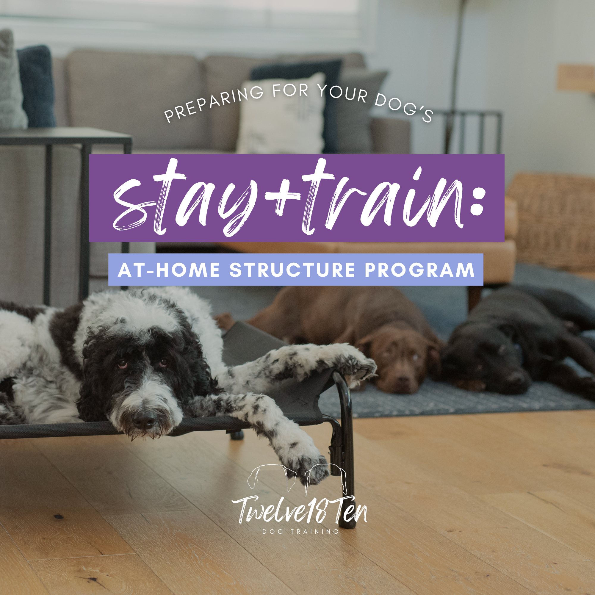 Stay & Train Guide - Twelve18Ten (8.5 x 8.5 in).png