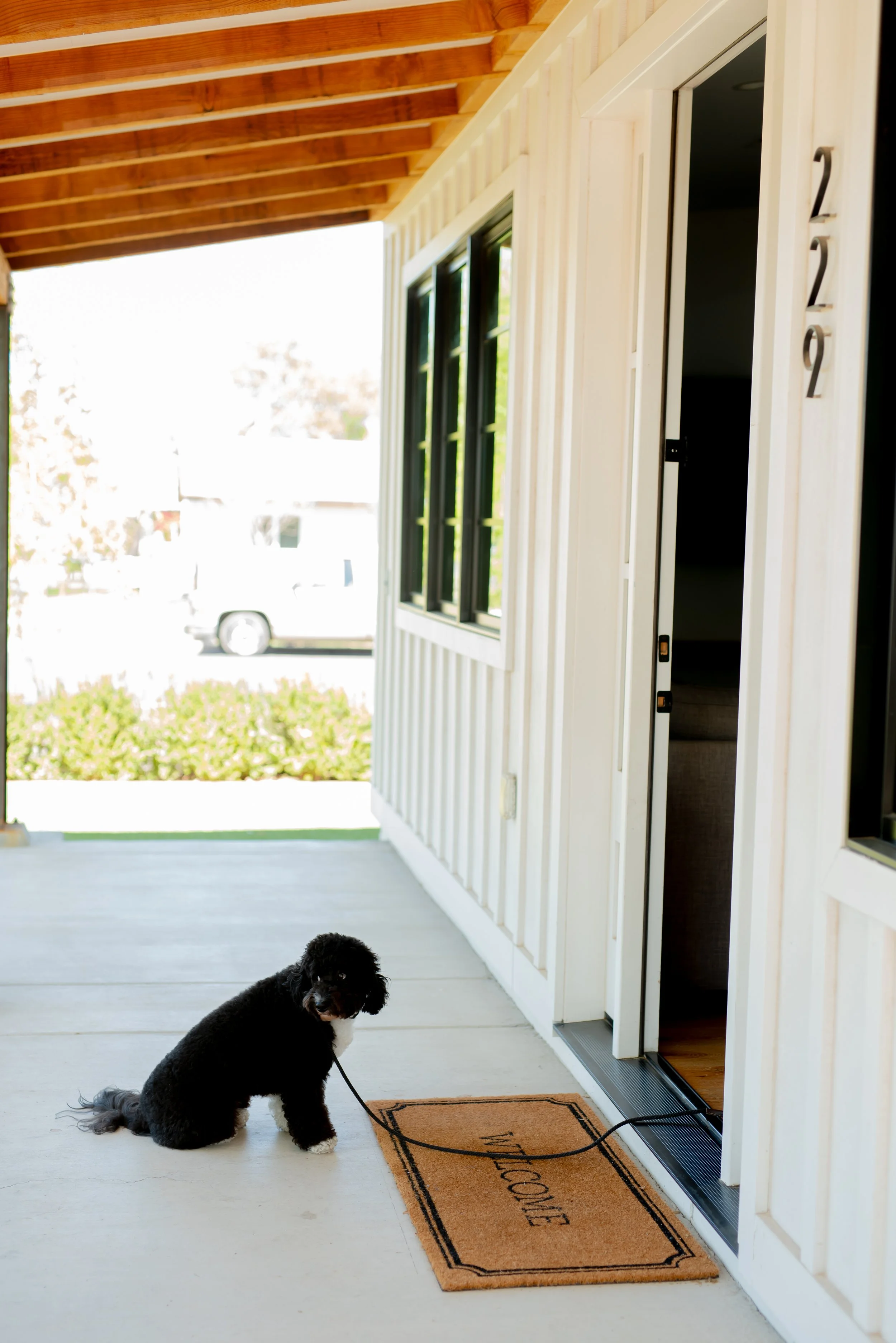 A small black and white dog sitting on a porch with a welcome mat outside a house.