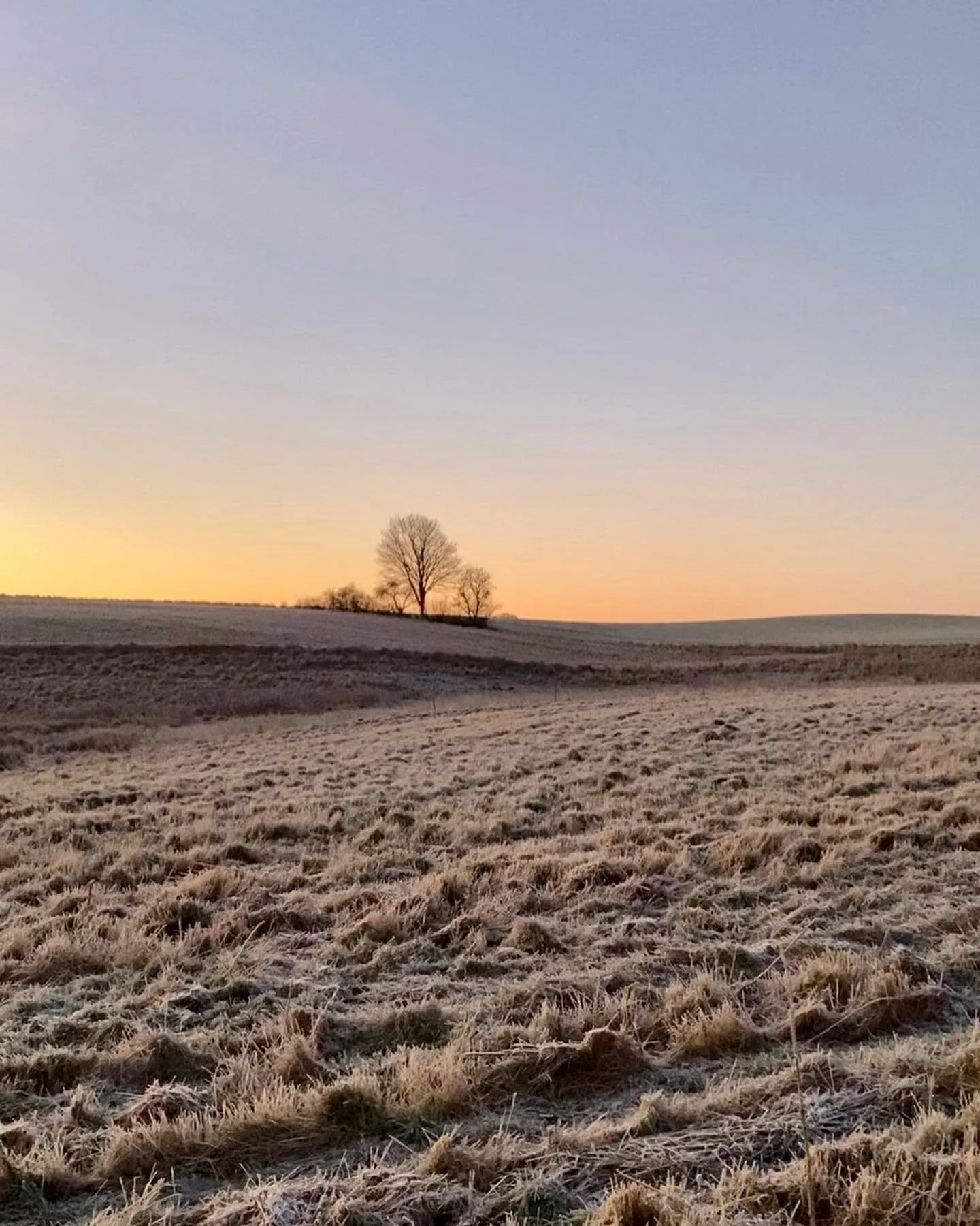 Mix from the past week🥰
#skjoldungernesland #veddelev #jungshoved #m&oslash;n