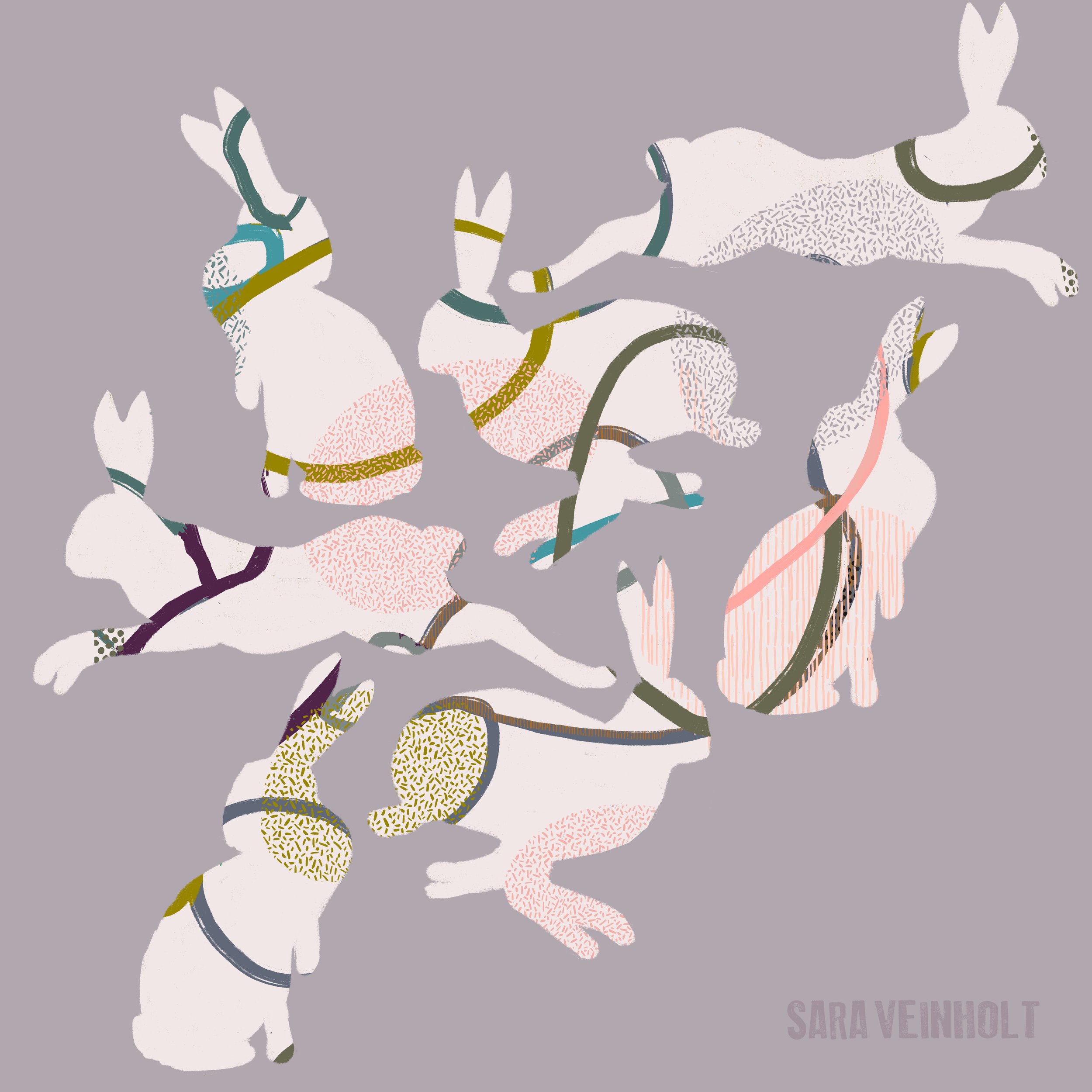 Kaniner det er sagen