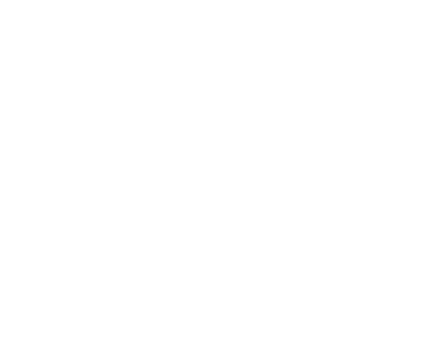 Figment