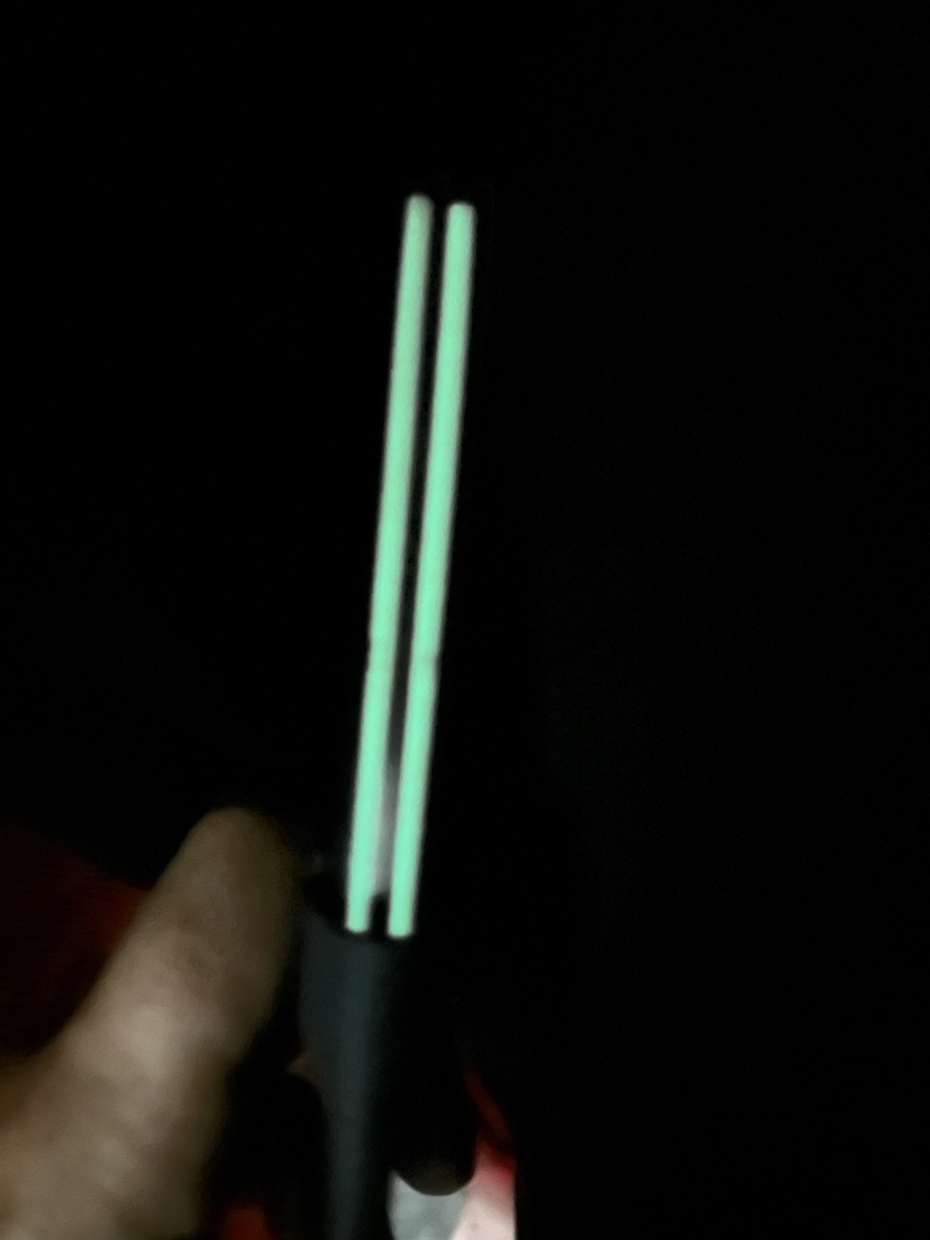 90AAADA8-872A-487E-8EE0-C7F249005BC9.jpeg