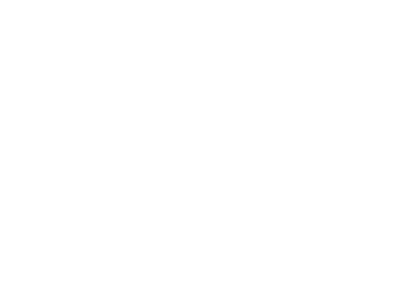D. Williams Builders