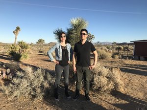 Joe_Wong_Mary_Timony_Joshua_Tree.jpeg