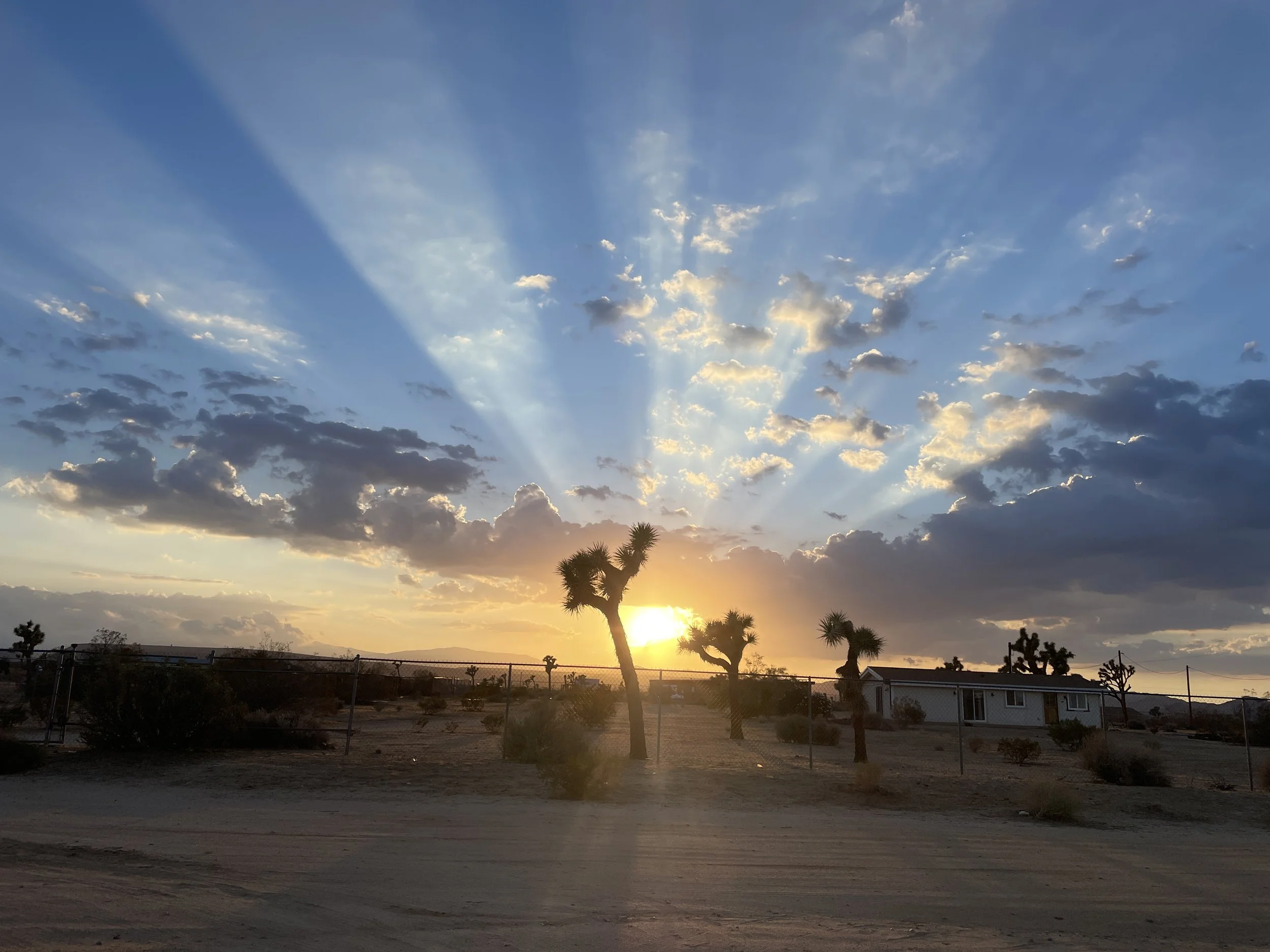 Joshua_Tree_Sunset_Gatos_Trail_Recording_Studio.jpeg