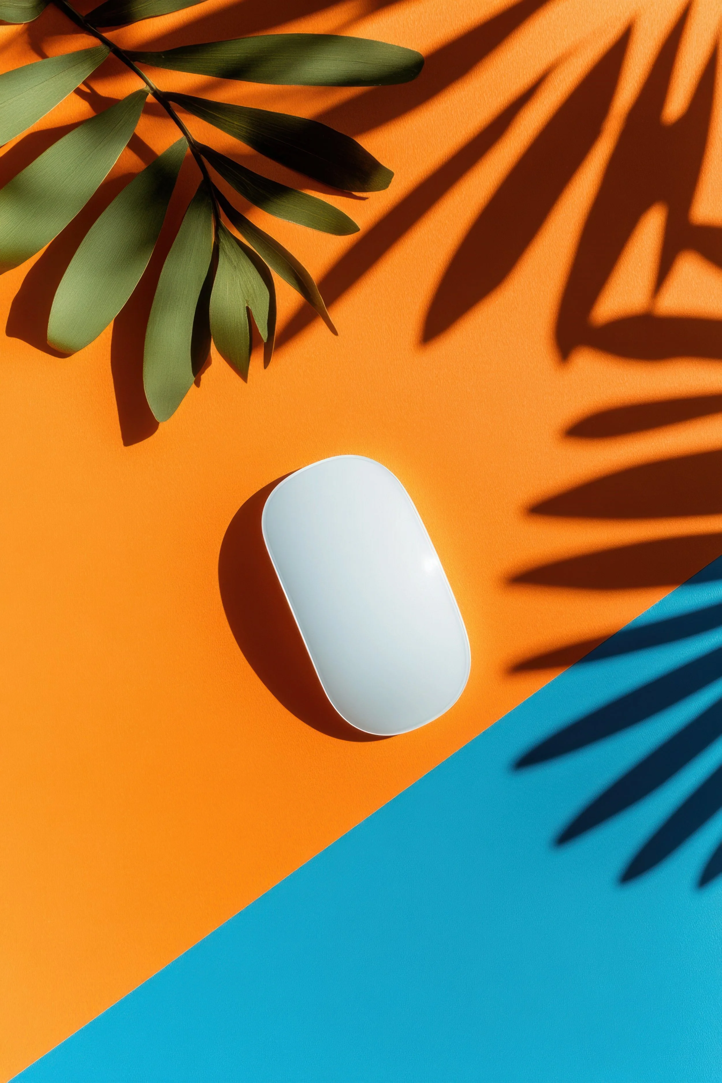 AdobeStock_1381118635.jpeg