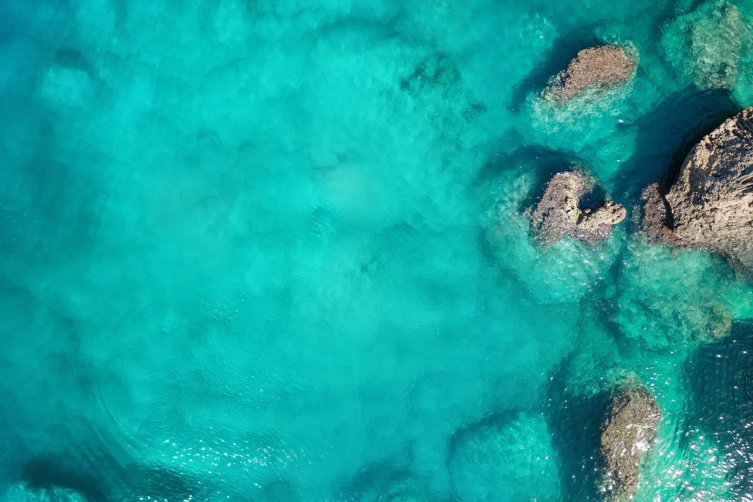 TAL-turquoise-blue-tropical-water-WHYTURQ0323-741b0f8d4d8849f38f10a96ebef6c8d5.jpg