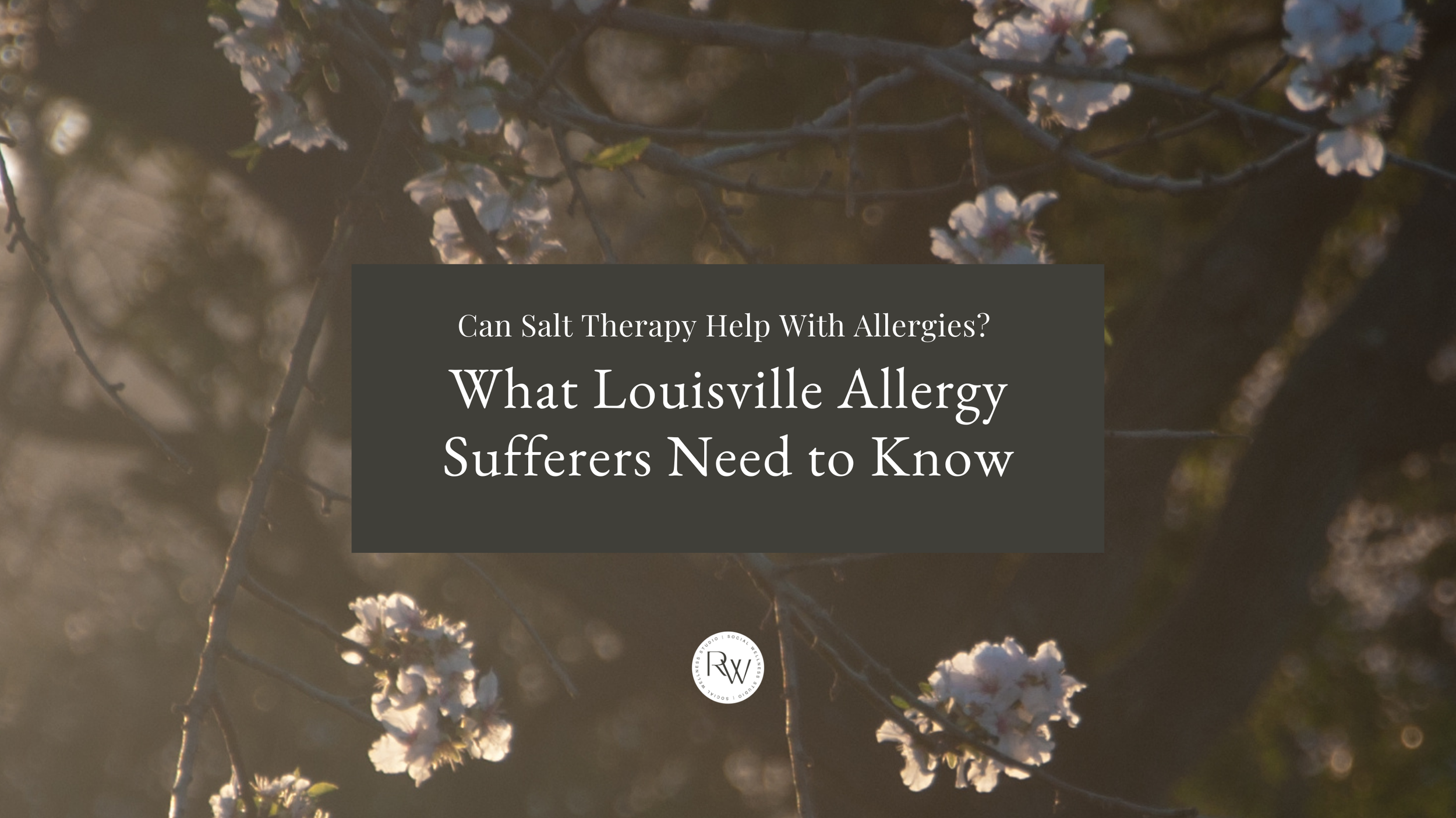 Can Salt Therapy Help With Allergies? What Louisville Allergy Sufferers Need to Know