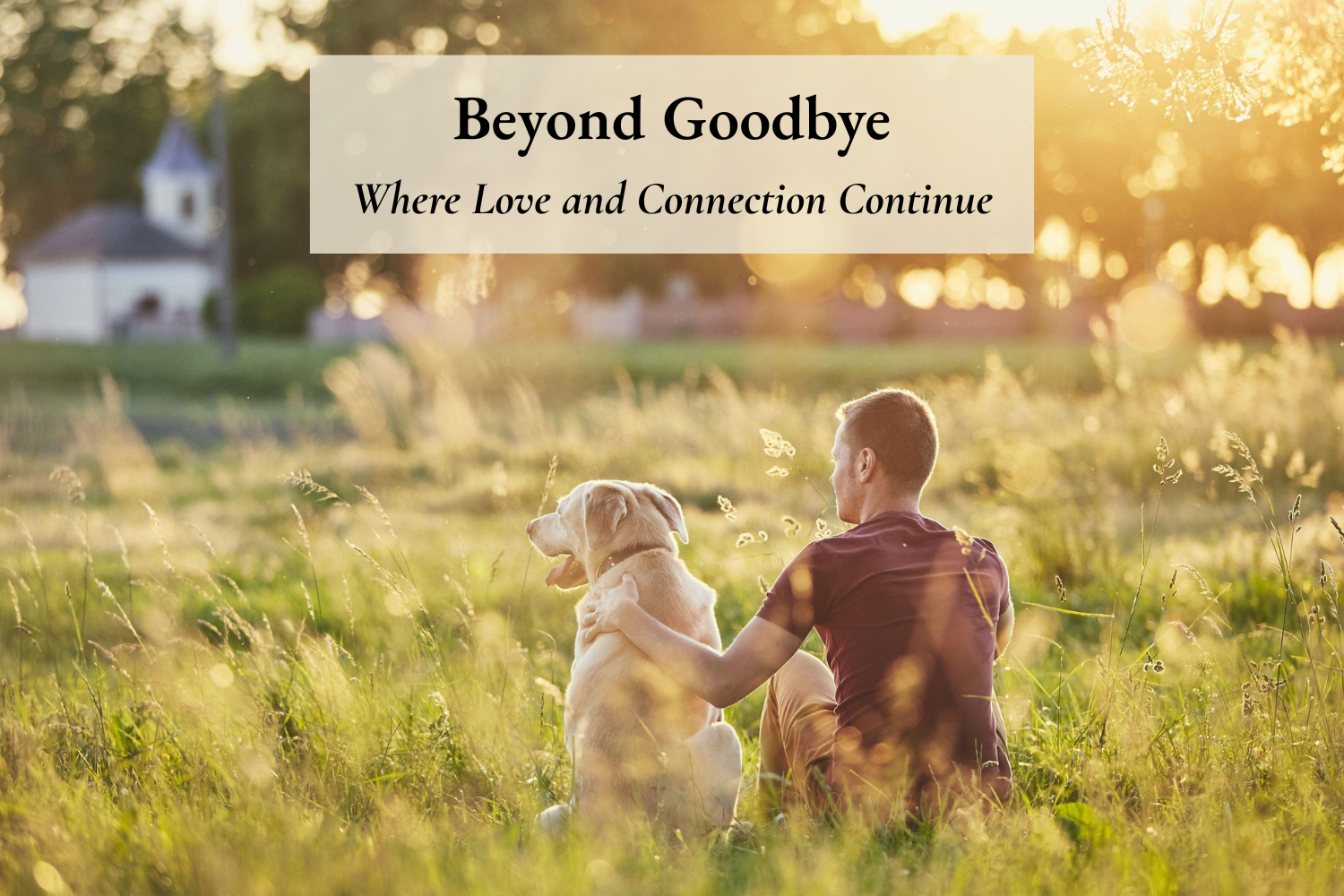 Beyond Goodbye - Where Love and Connection Continue