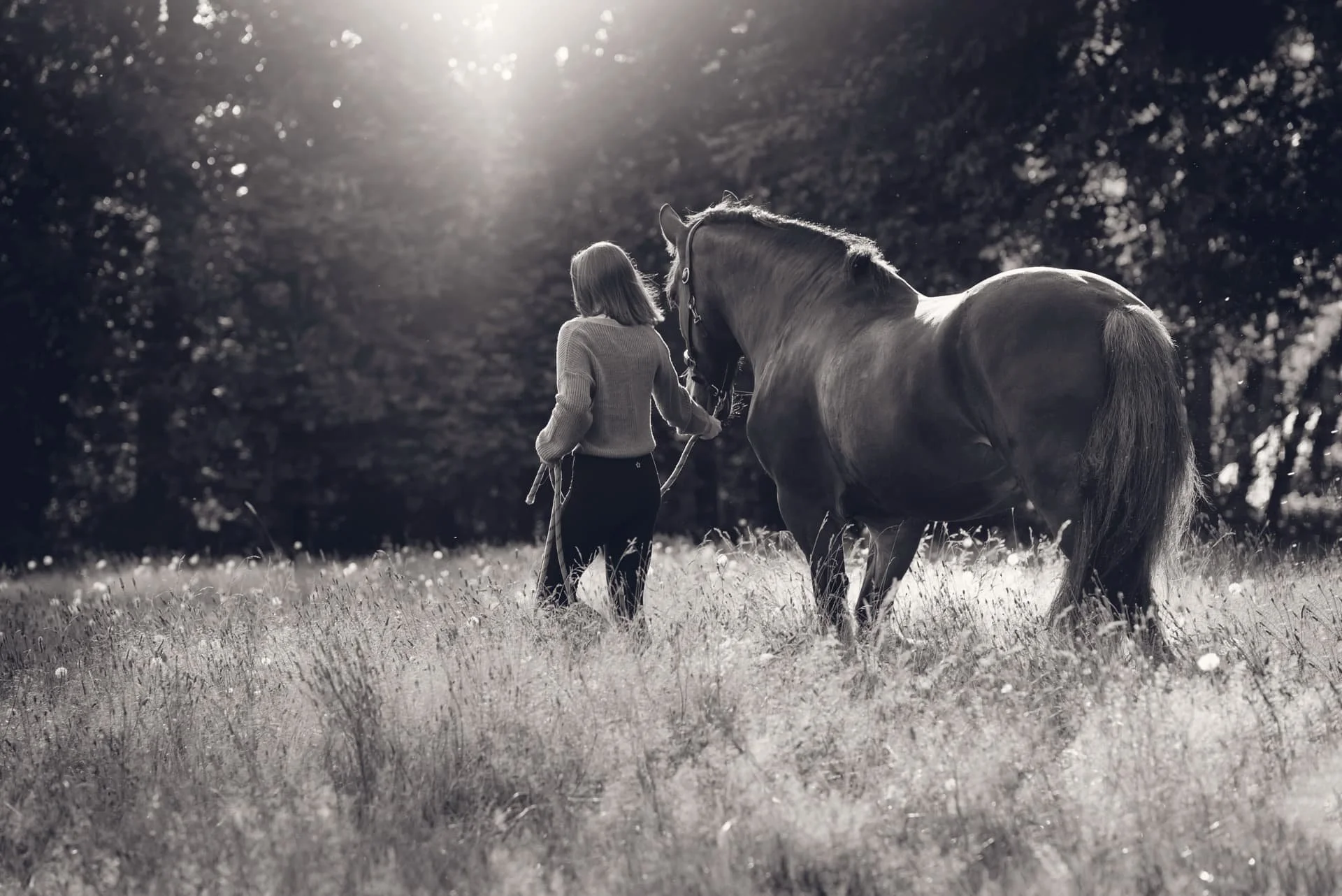 Young woman walking with her horse into the sunlight and a forest grove.