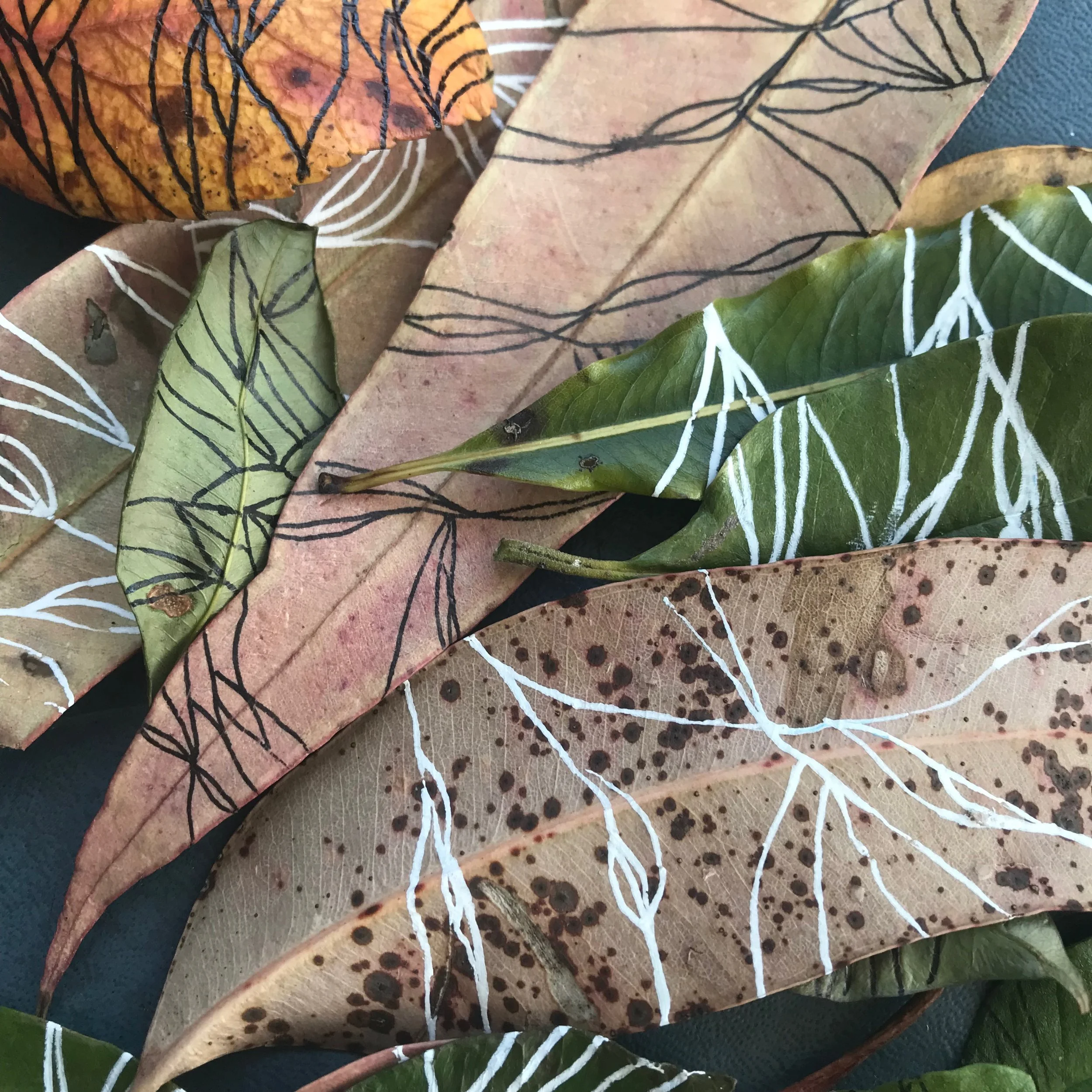 Creavtive leaves with The Light Library.