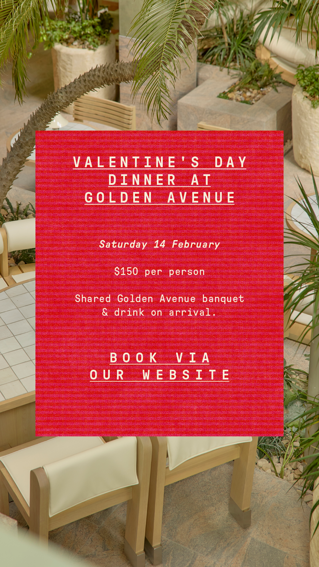 Valentine's Day Dinner at Golden Avenue