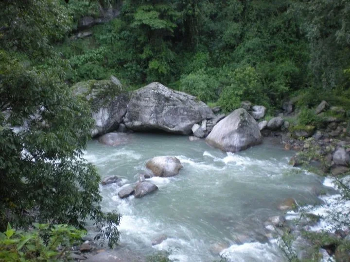 A rushing mountain stream with large boulders and green foliage surrounding it.