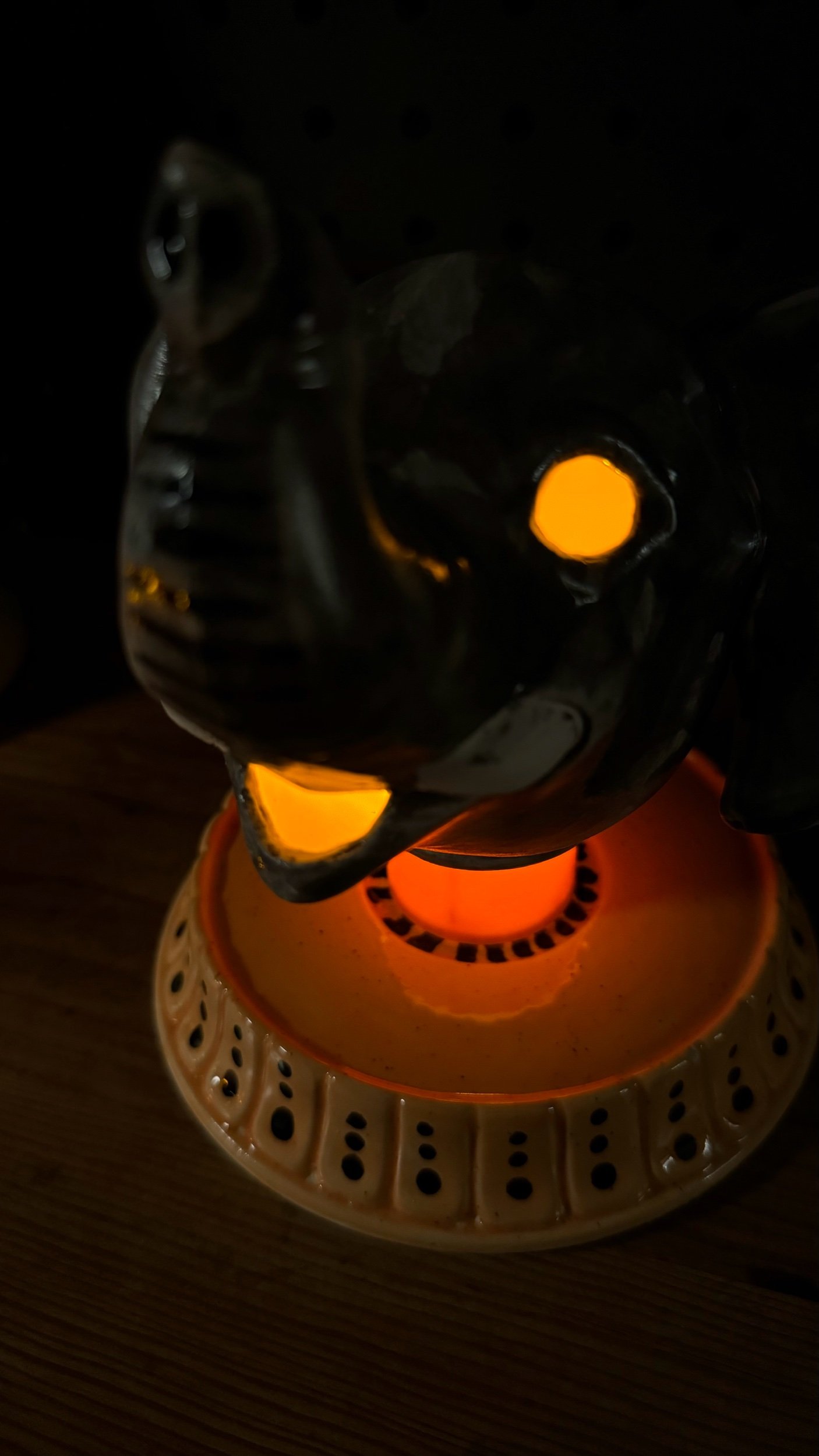 D13124B5-8F94-4546-95E0-F1BFDFDF42FC.jpeg