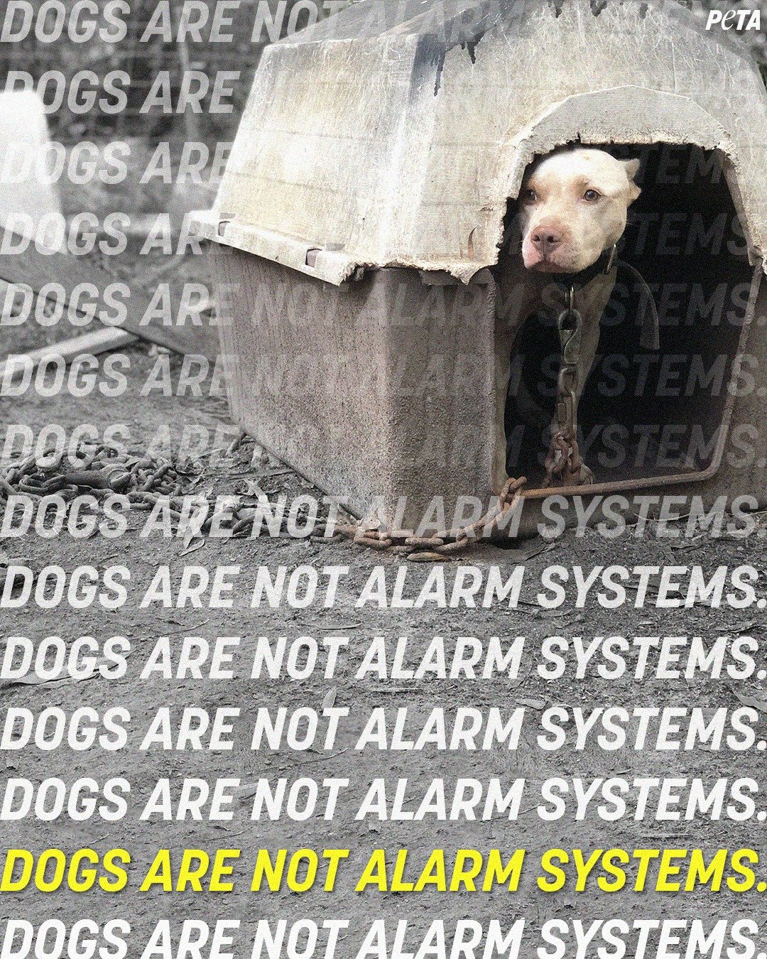 301971377_629968802122759_340042254758471054_n.jpg