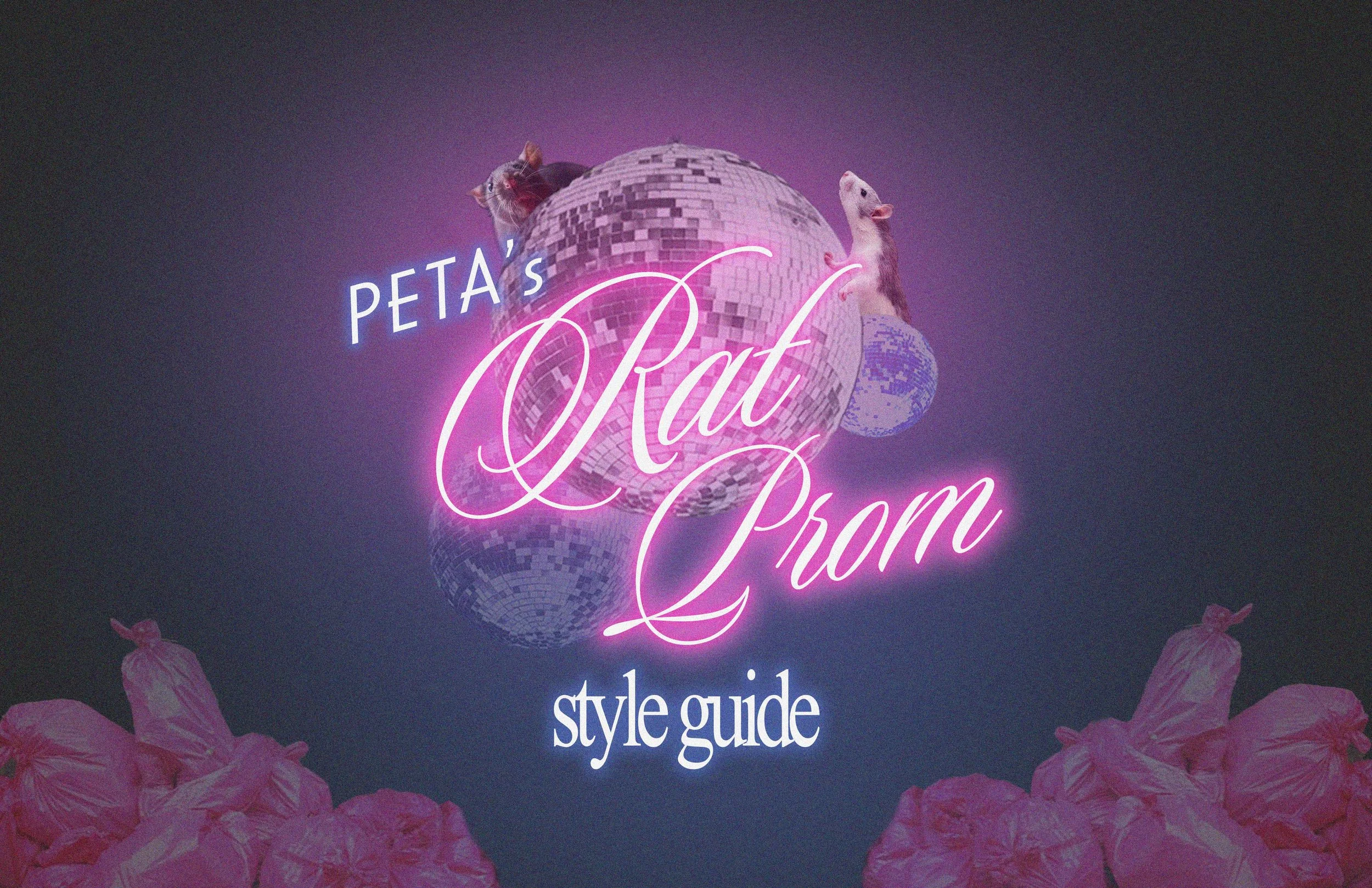 RatPromStyleGuideCover-sm.jpg