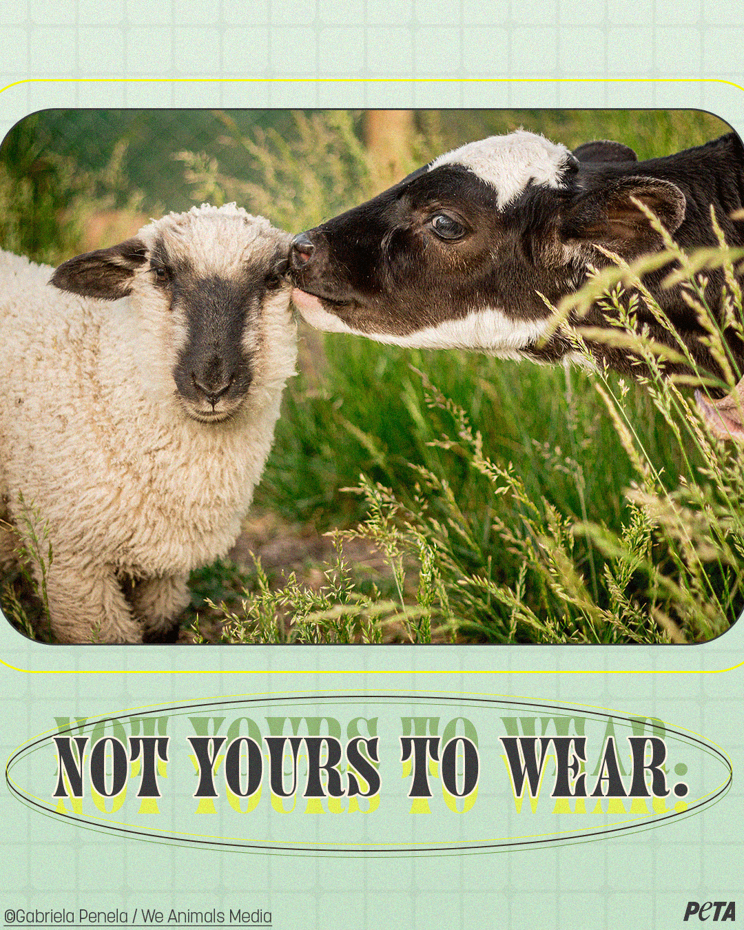 NotYoursToWearImage-PETA.png