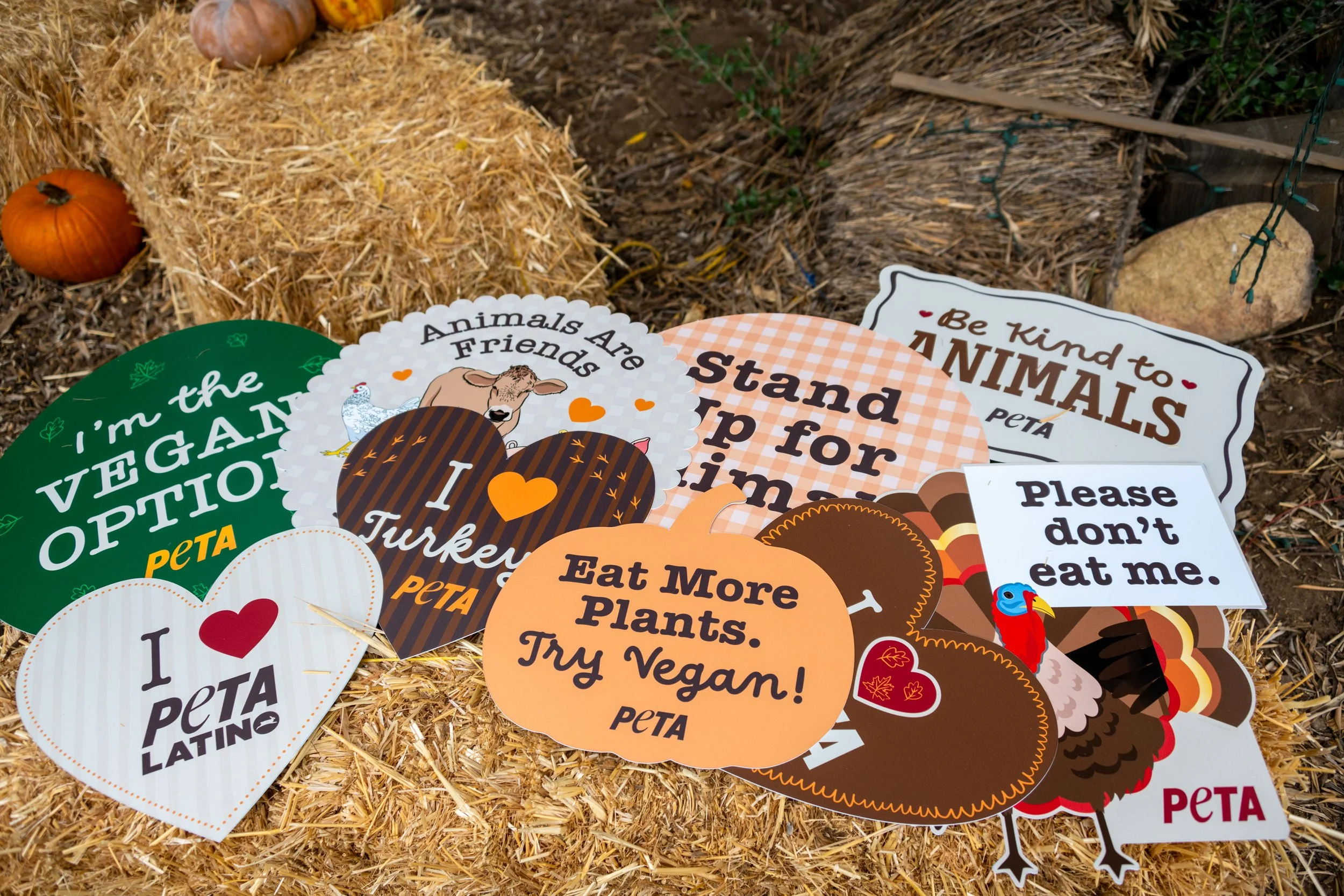 ThanksVegan2025-009.jpg