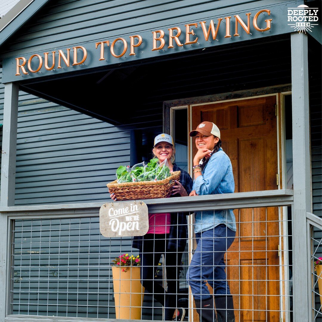 Deeply Rooted Ranch is now partnering with @roundtopbrewing to bring farm fresh greens from the market garden to your plate. Here's to nutrient-dense food and future success as we go forward together. Also, swipe through to check out this delightful 