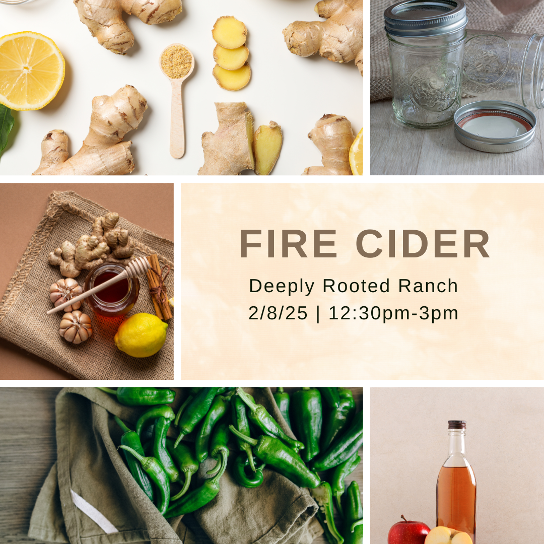 Fire Cider Marketing Board.png