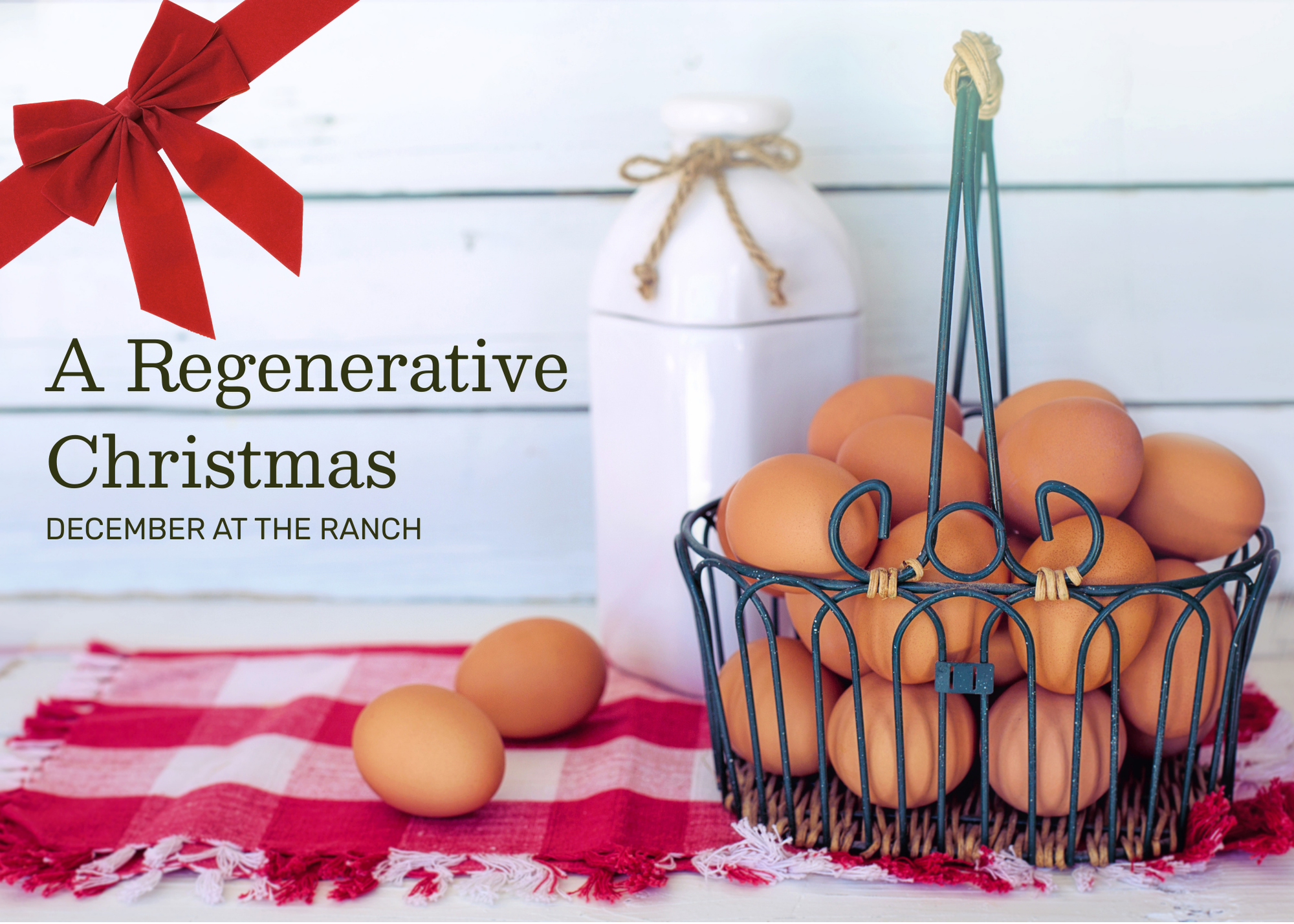 A Regenerative Christmas: December at the Ranch
