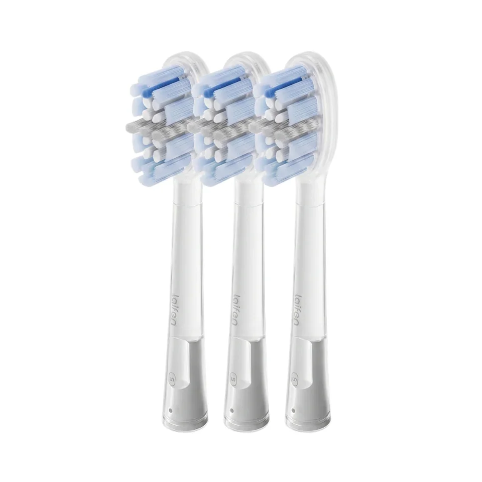 Plaque_Removal_960x_crop_center.webp