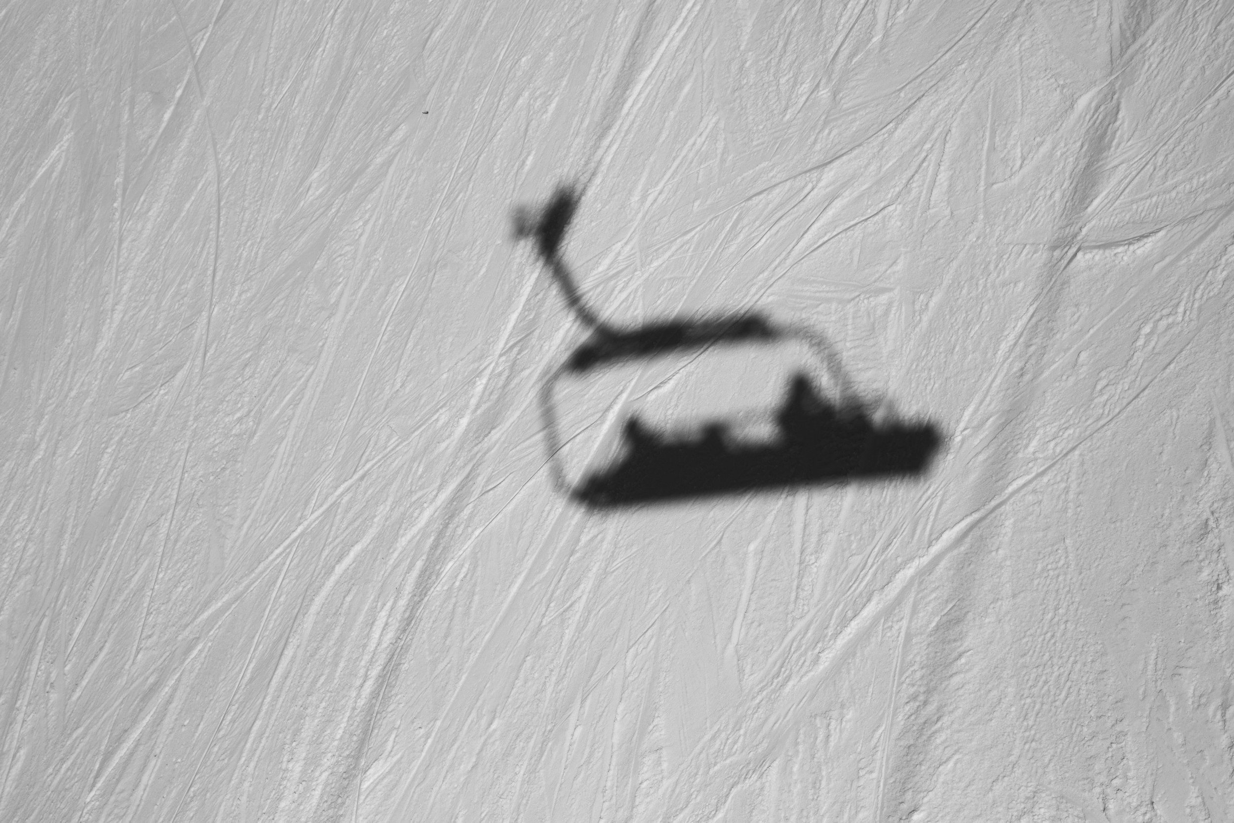 Shadow 4.jpg