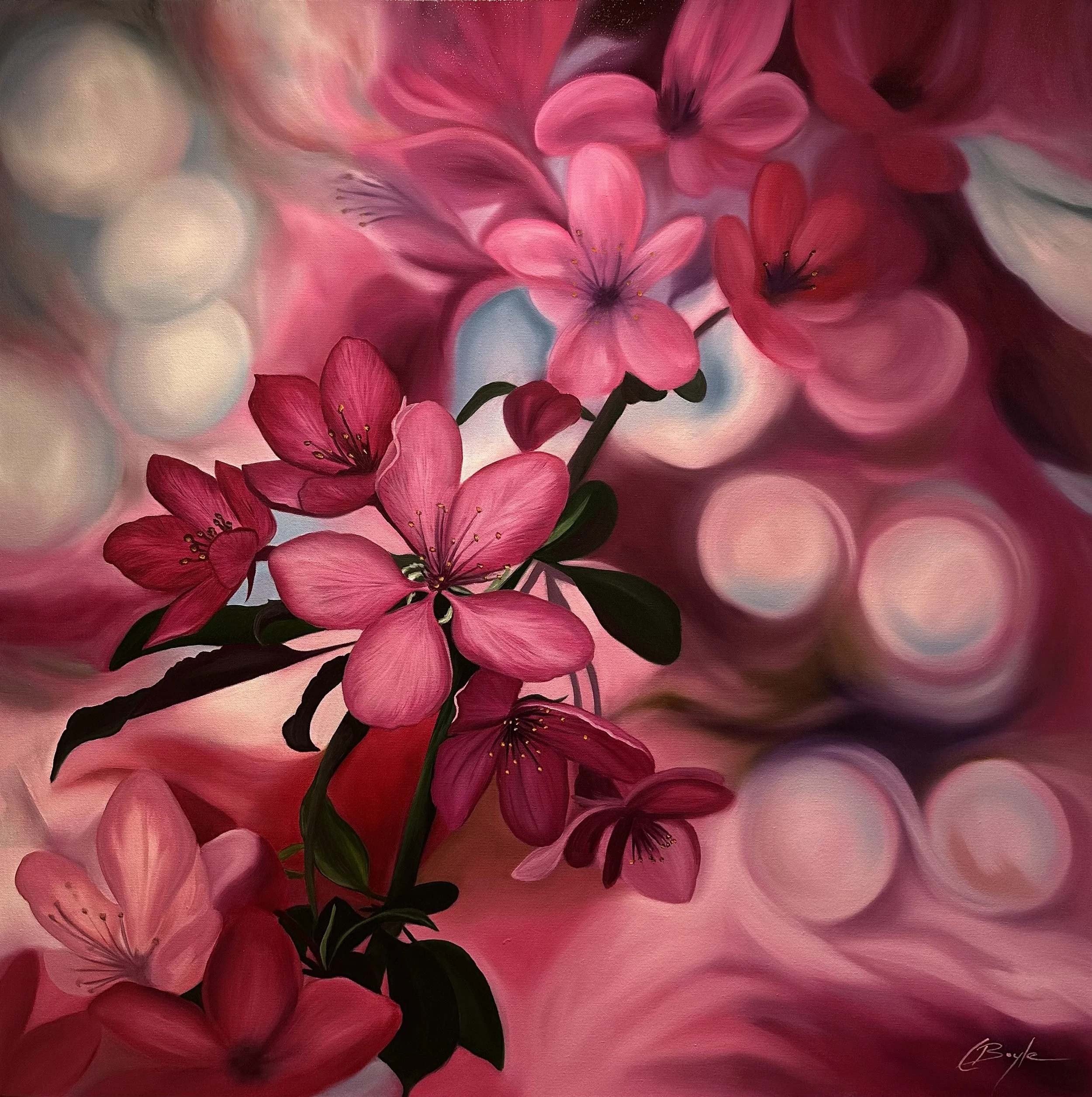 'Pink Serenade'