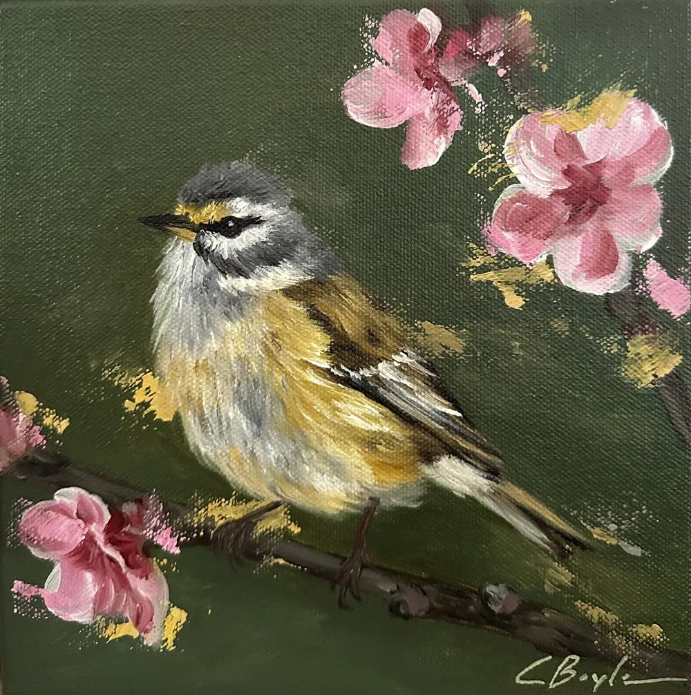 Bearded Tit Among Blossoms - Oil on Canvas - 20 x 20cm
£175 (Framed)