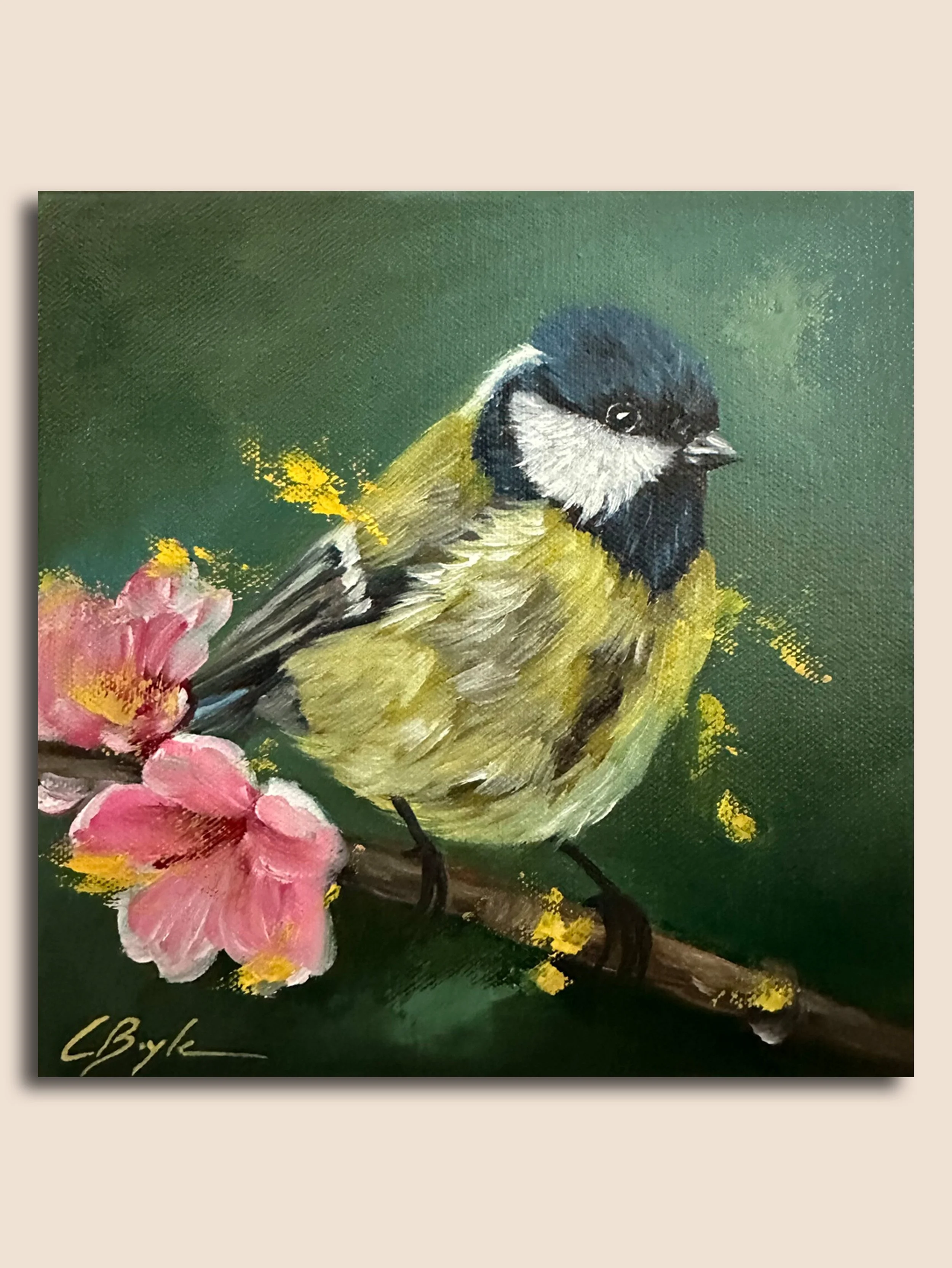 Bluetit MI.jpg