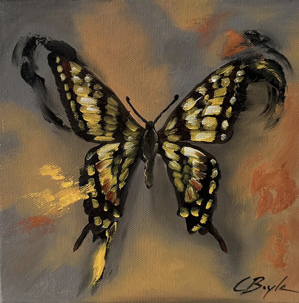 Chrysalis Memory - Oil on Canvas - 20 x 20cm 
£175 (Framed)