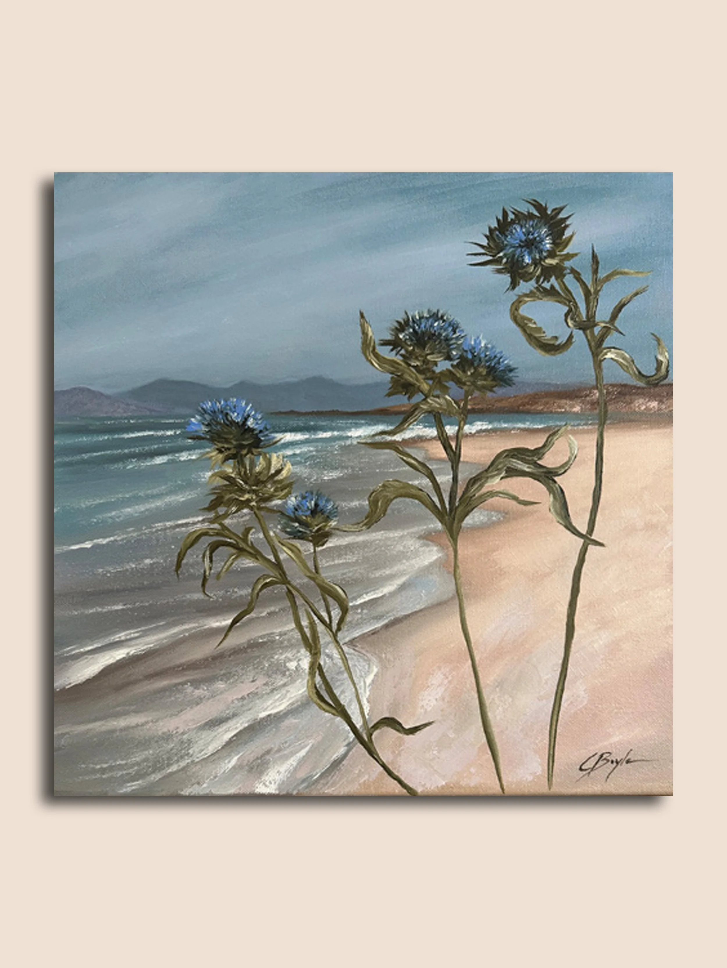 MACHAIR BLOOMS, ISLE OF HARRIS