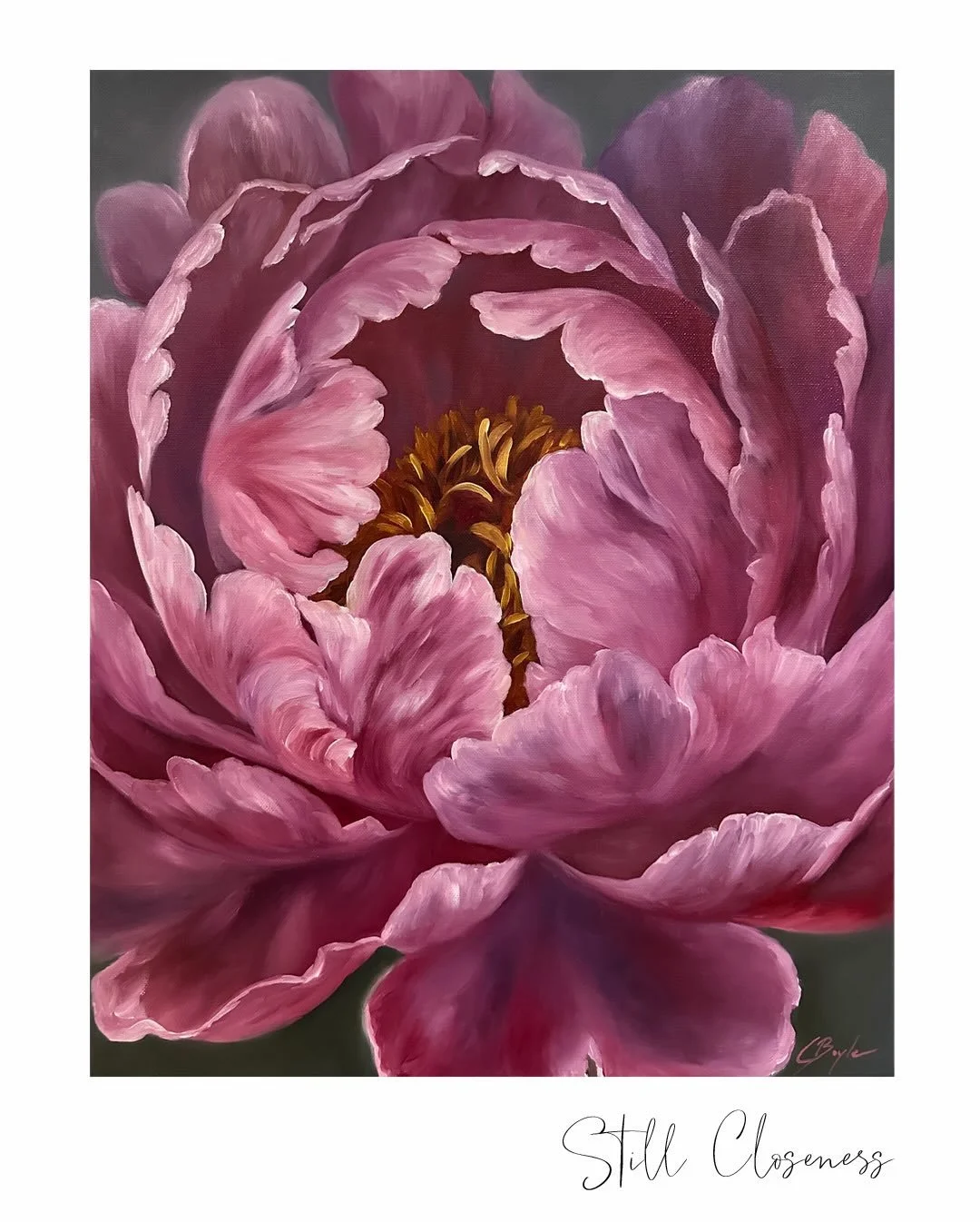 Soft, intimate and emotionally generous. The way the petals overlap and almost breathe into one another, creates a feeling of closeness and vulnerability. Feeling less like observing flowers and more like being inside a moment. 

&ldquo;Still Closene