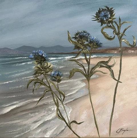 Machair Blooms, Isle of Harris small.jpg