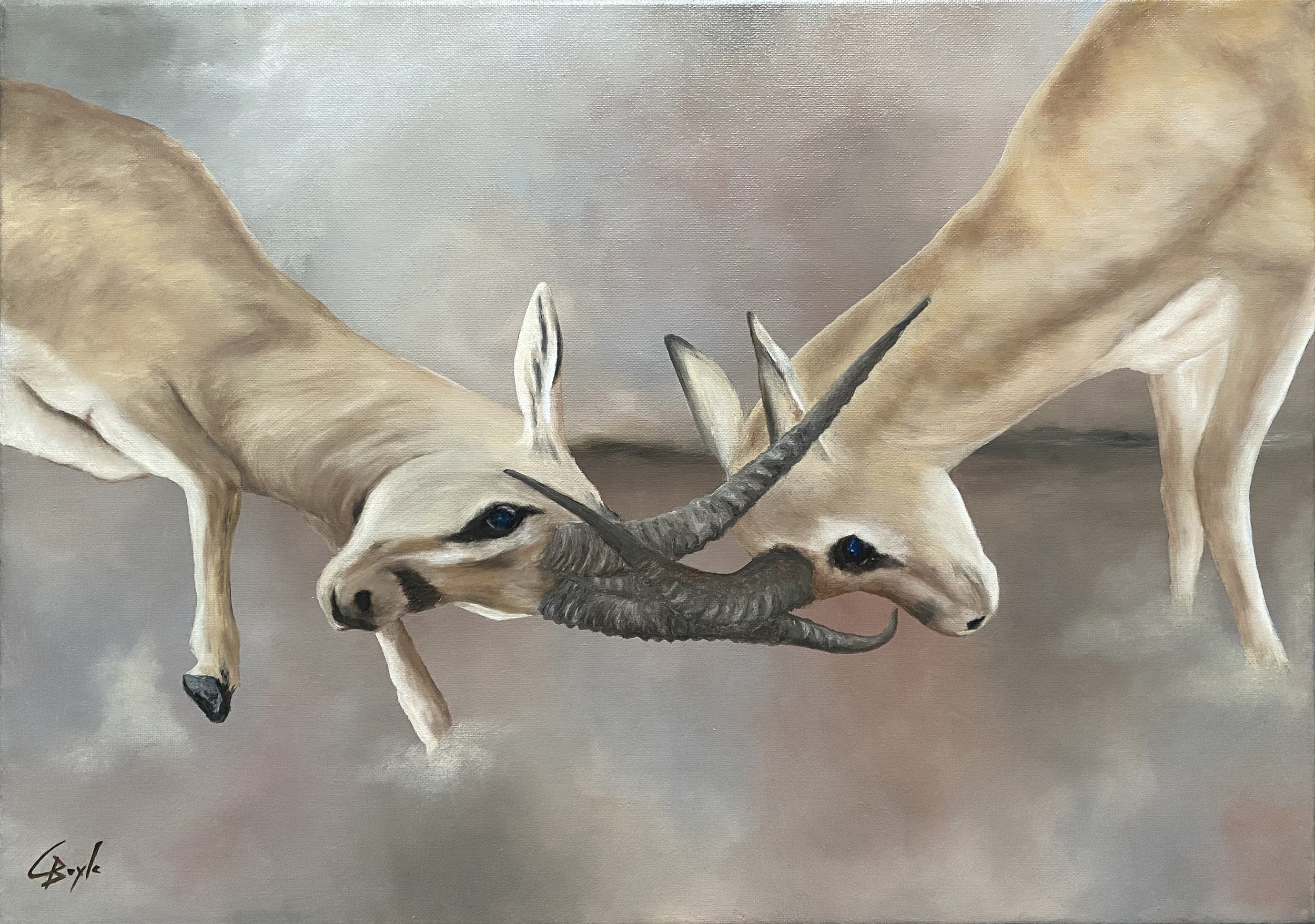 Hard-headed - Oil on Canvas - 42 x 60cm
SOLD