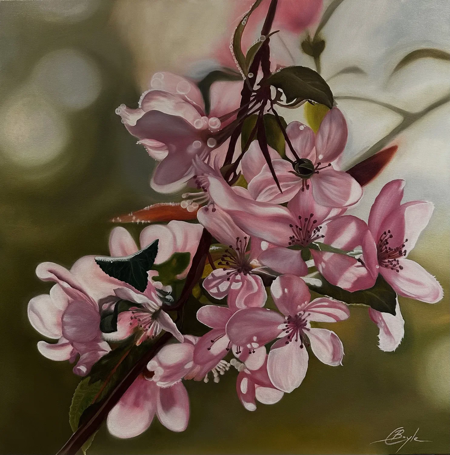 Charmaine_Boyle_First Light_Oil_on_canvas_76x76cm.webp