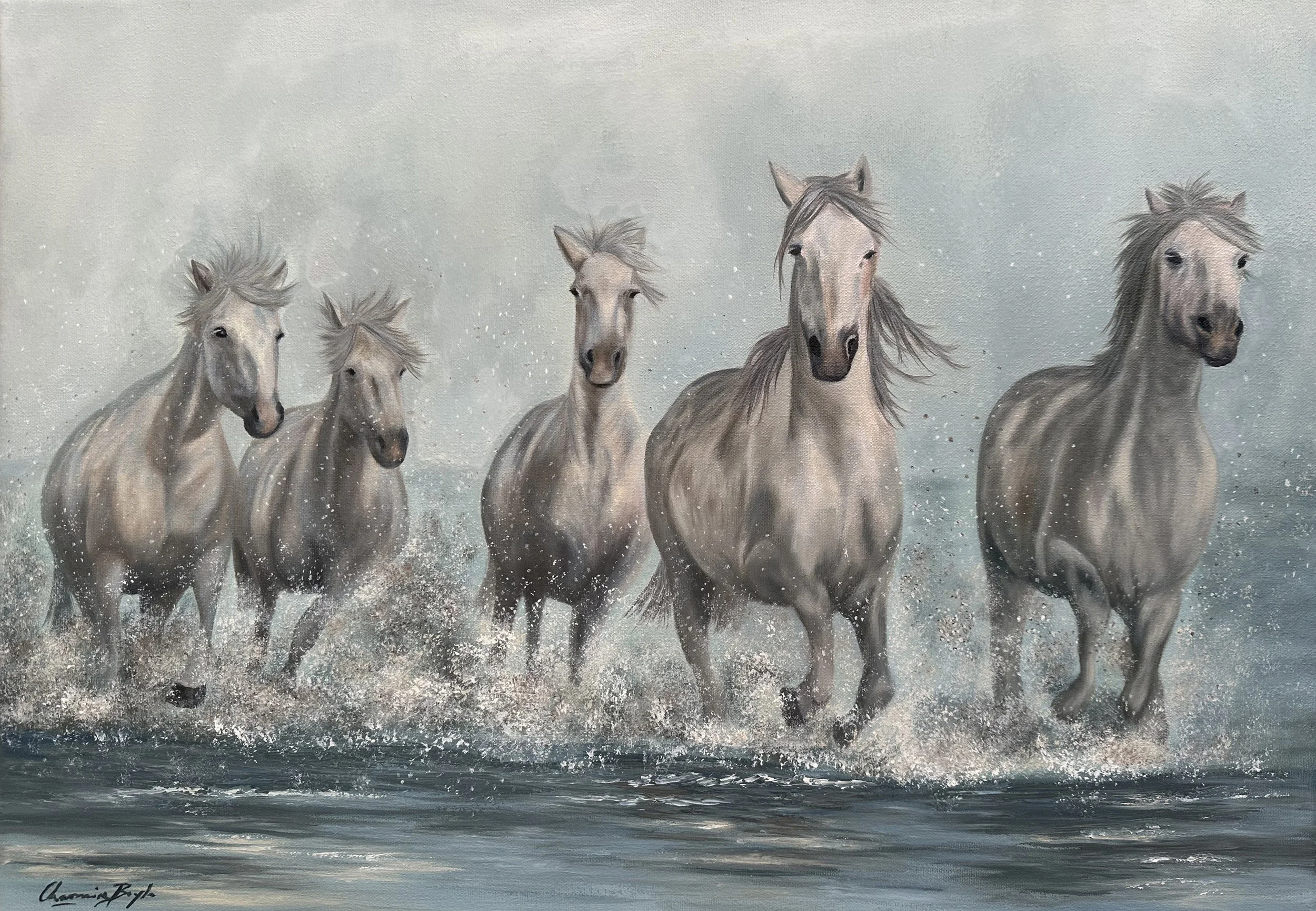 5 Horses at Dawn - Oil on Canvas
Available - enquire